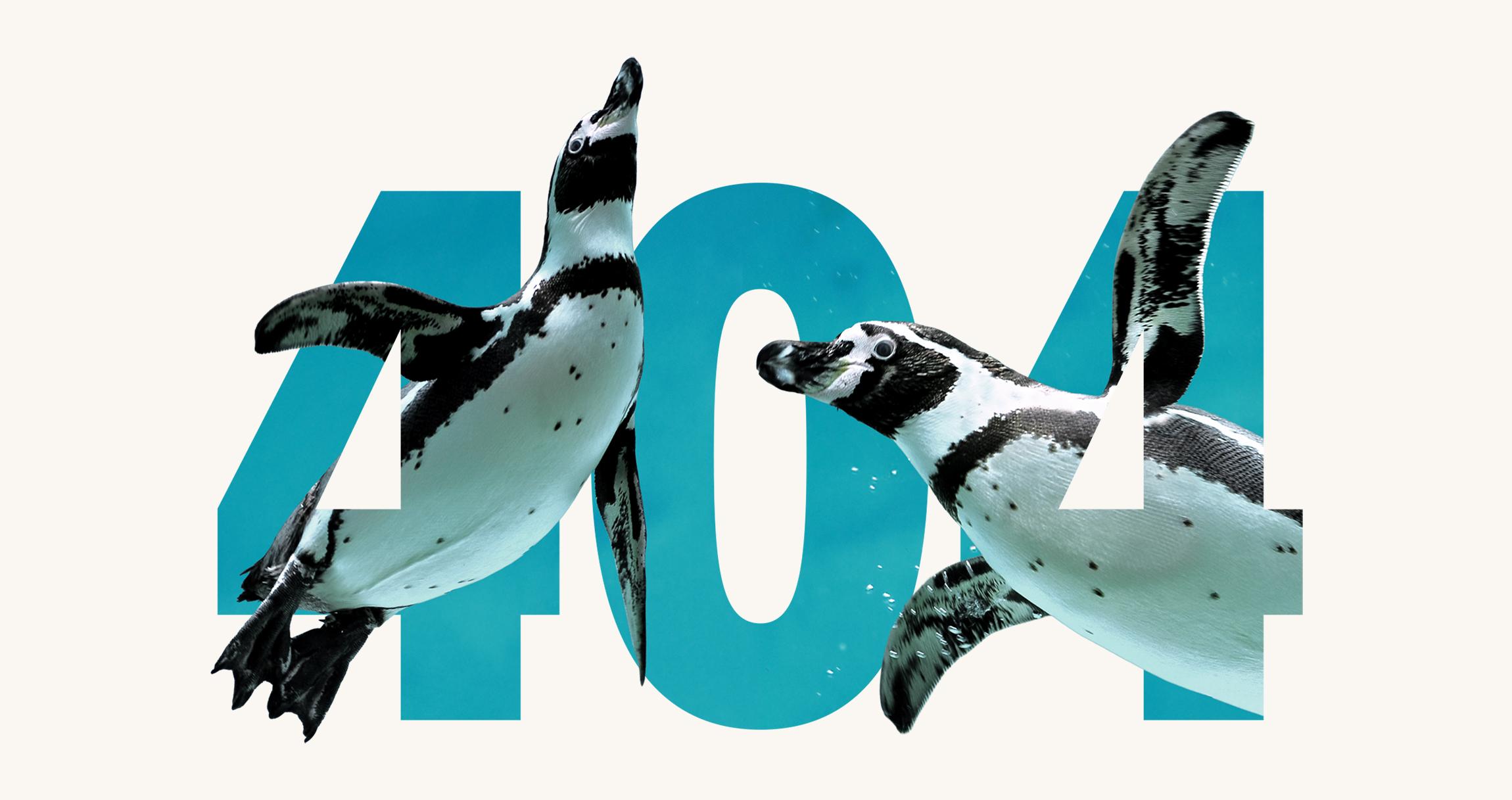 Conservation International 404 page with two penguins swimming through large "404" numerals