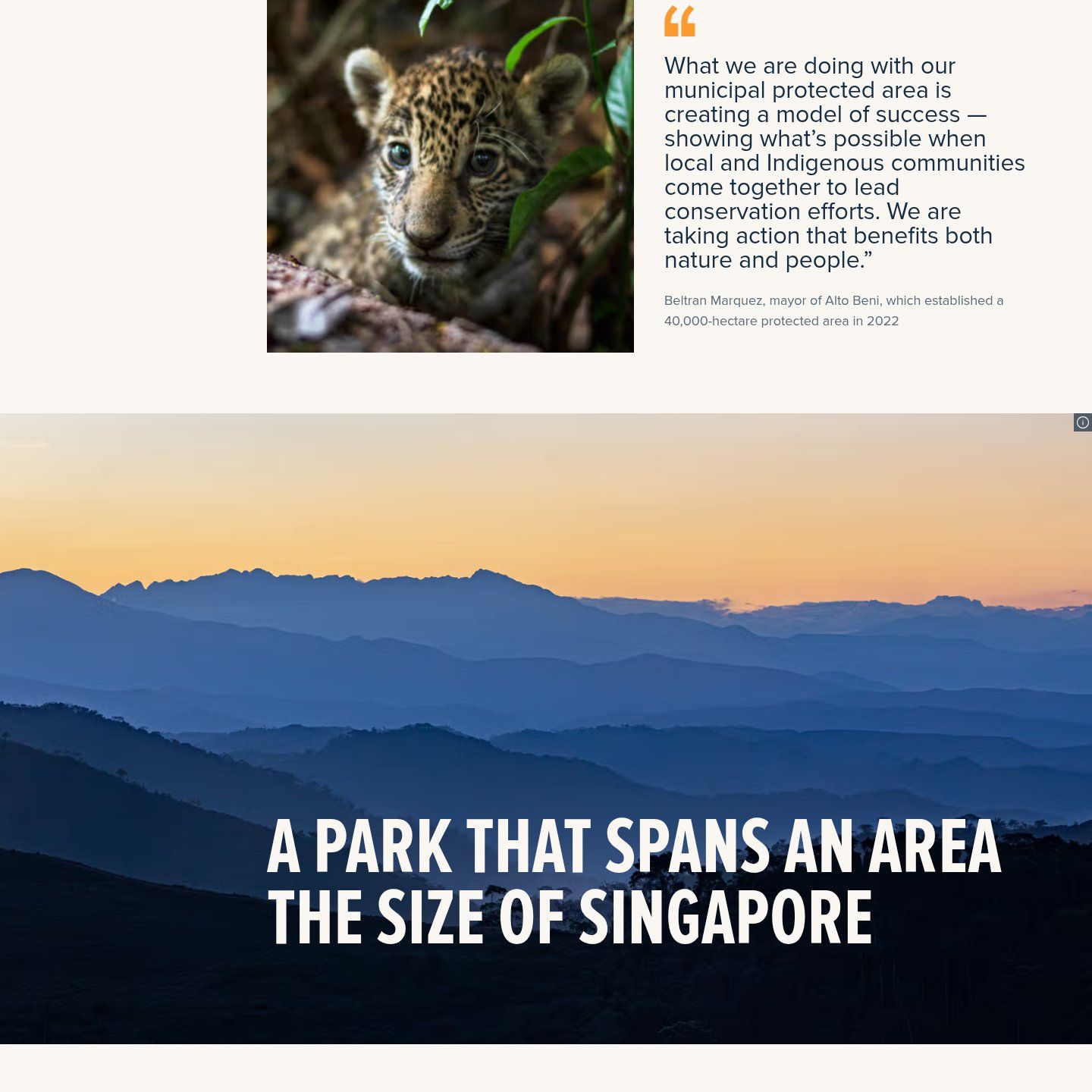 A pull quote from the mayor of Alto Beni beside a jaguar cub, above a full-width photo headed "A park that spans an area the size of Singapore"
