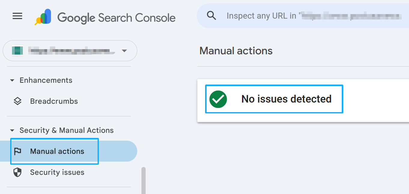 Check if manual penalties have been applied in Google Search Console.