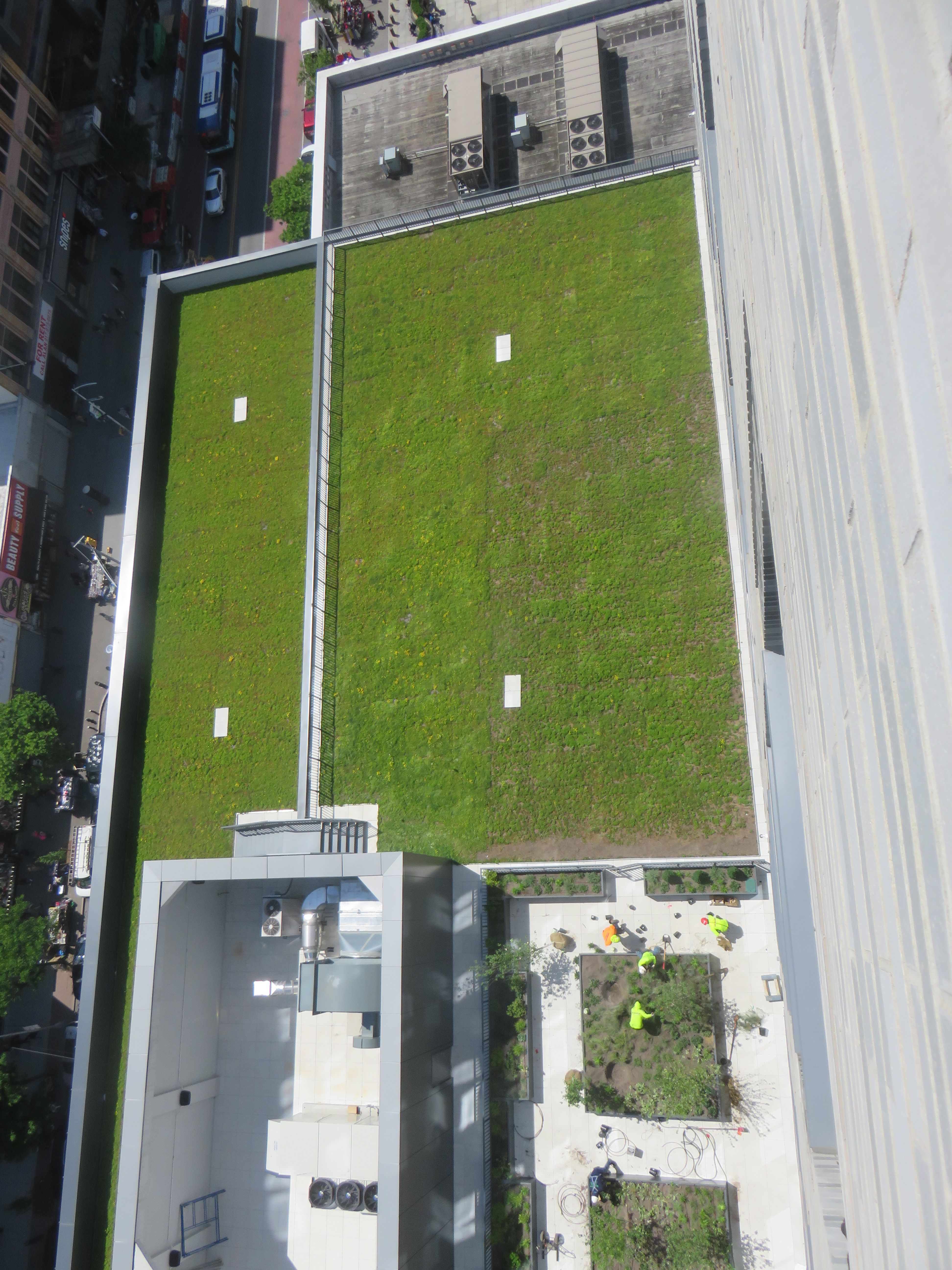 National Urban League green roof by L&M Roofing