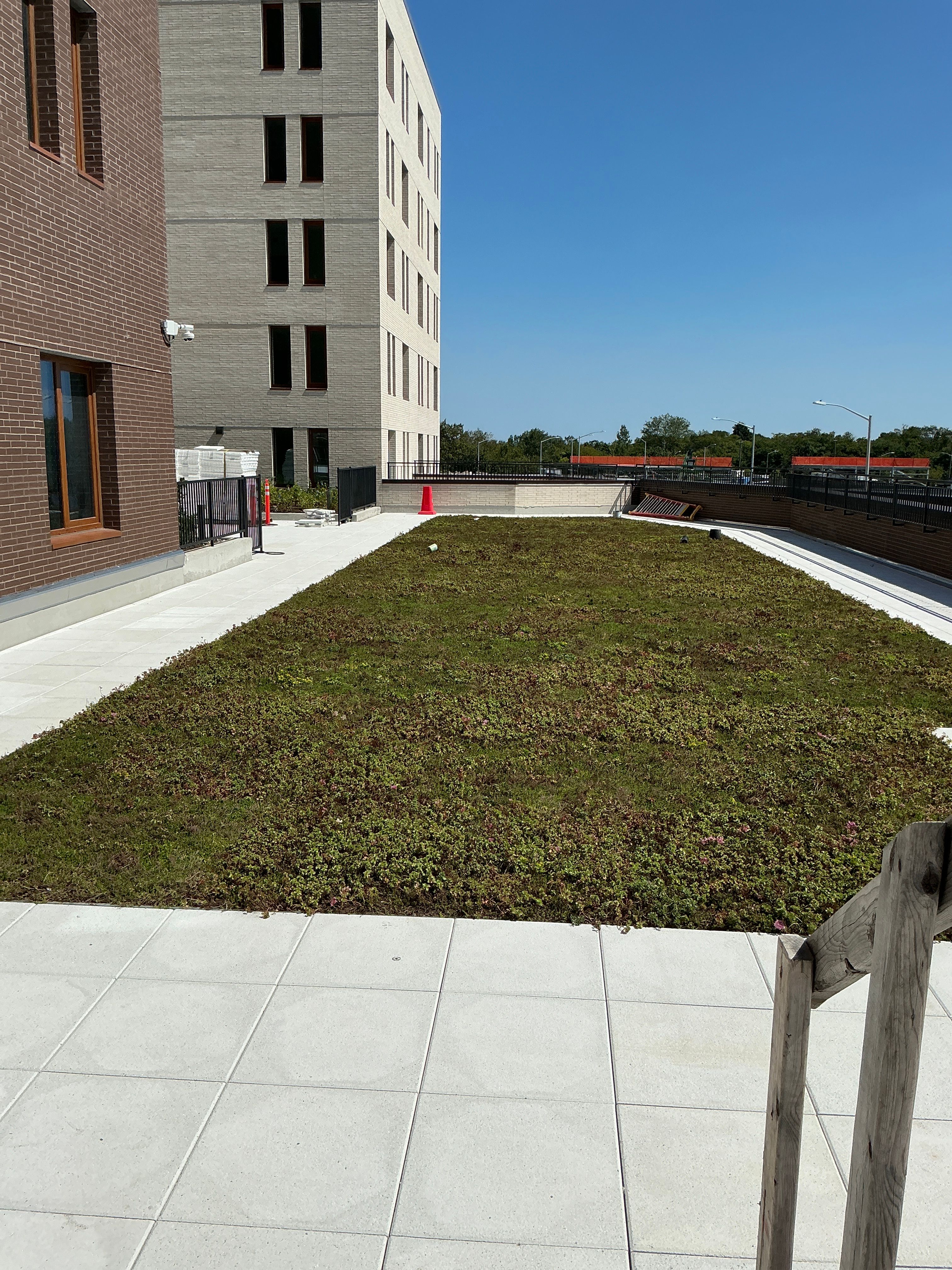 Vital Brooklyn - Phase 1 — image 10