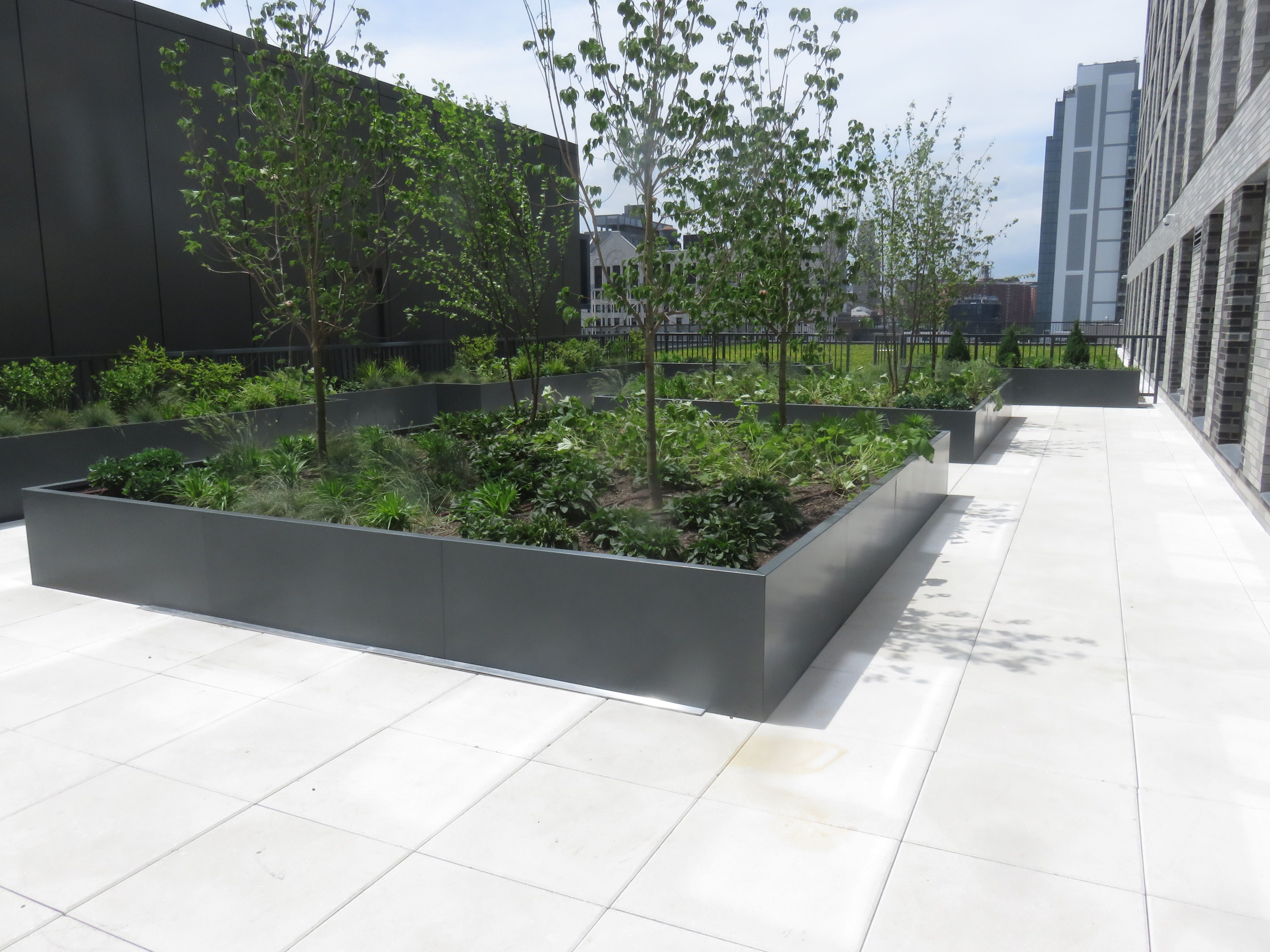 National Urban League green roof by L&M Roofing