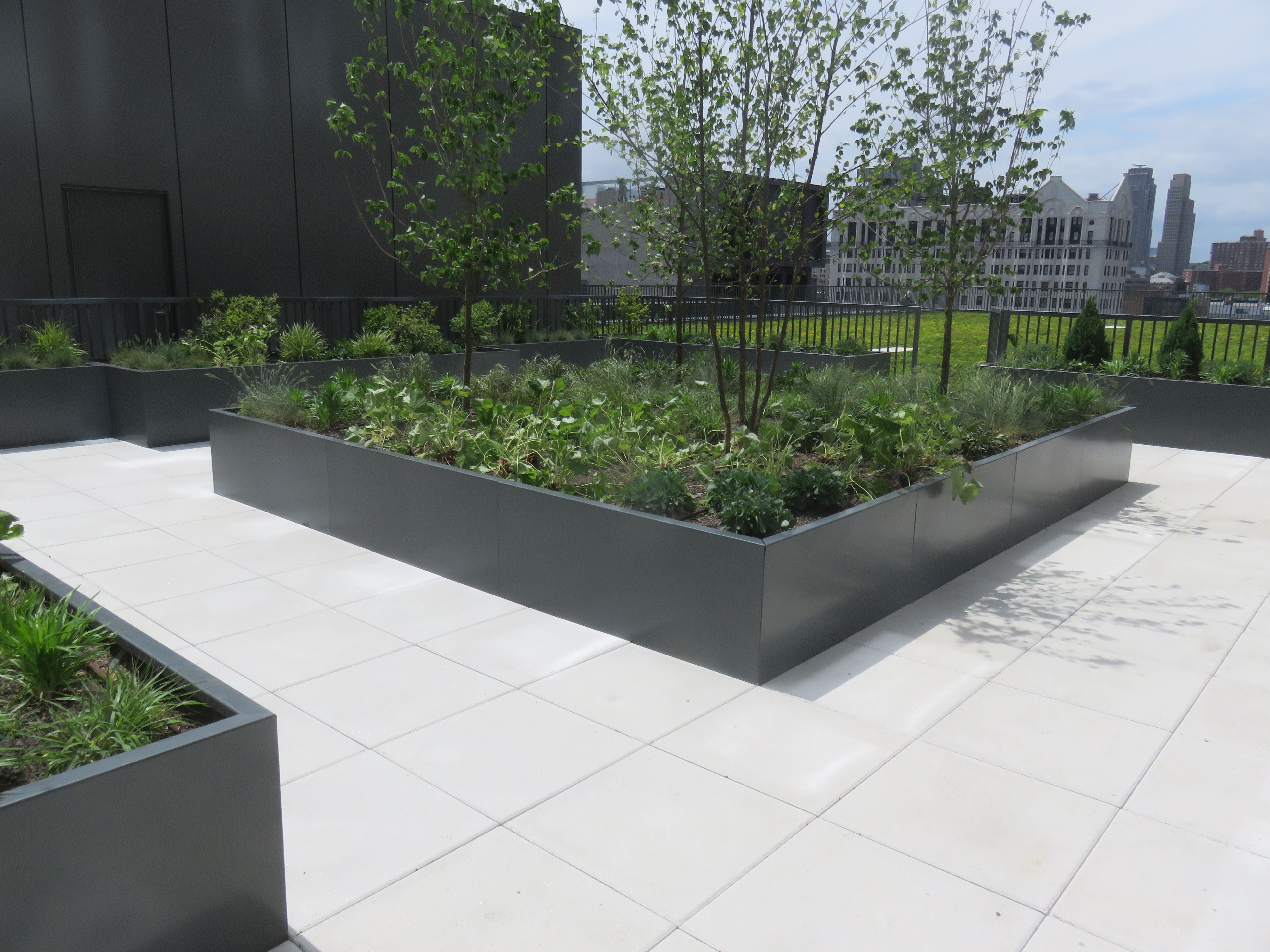 National Urban League green roof by L&M Roofing