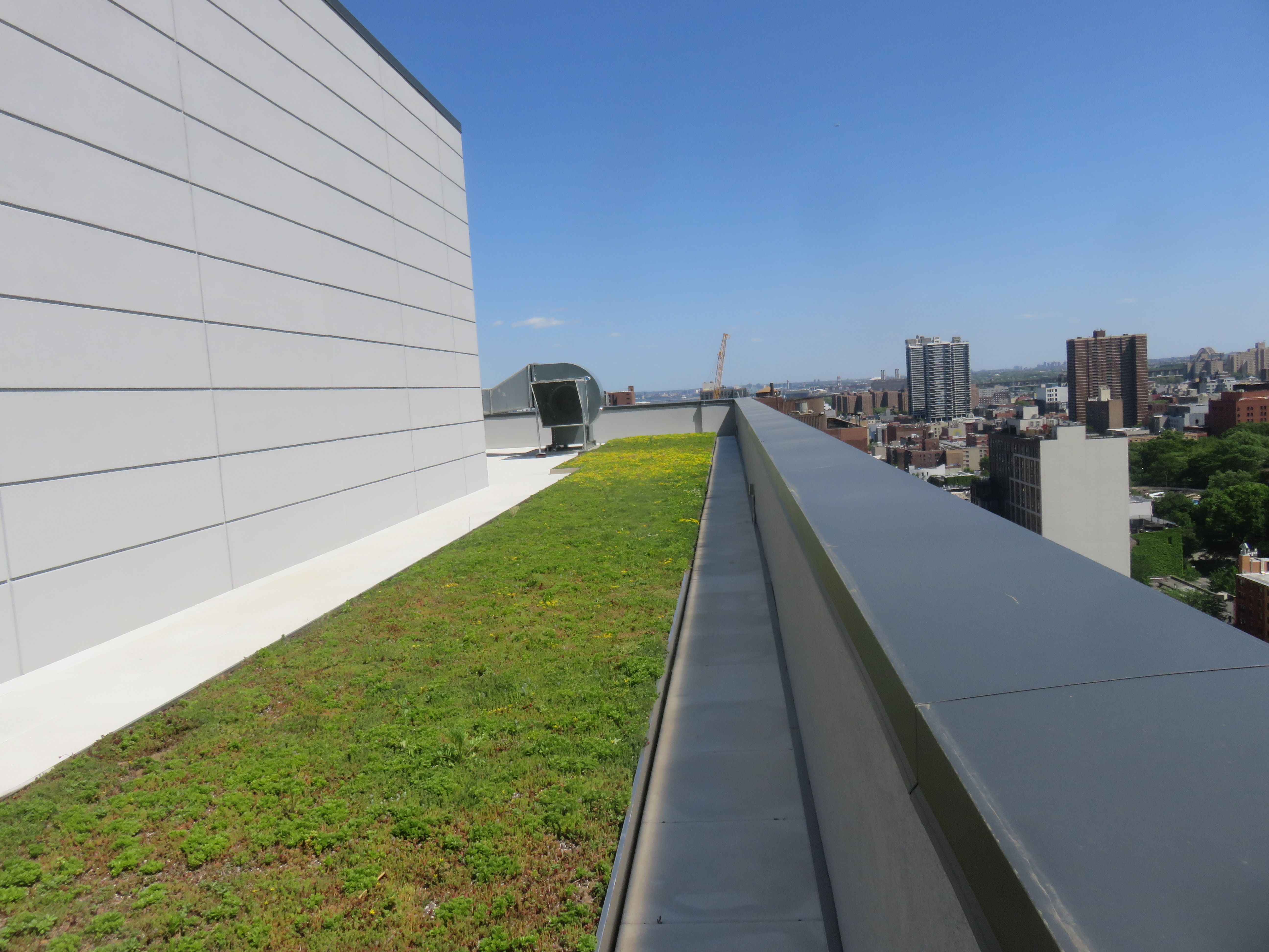 National Urban League green roof by L&M Roofing