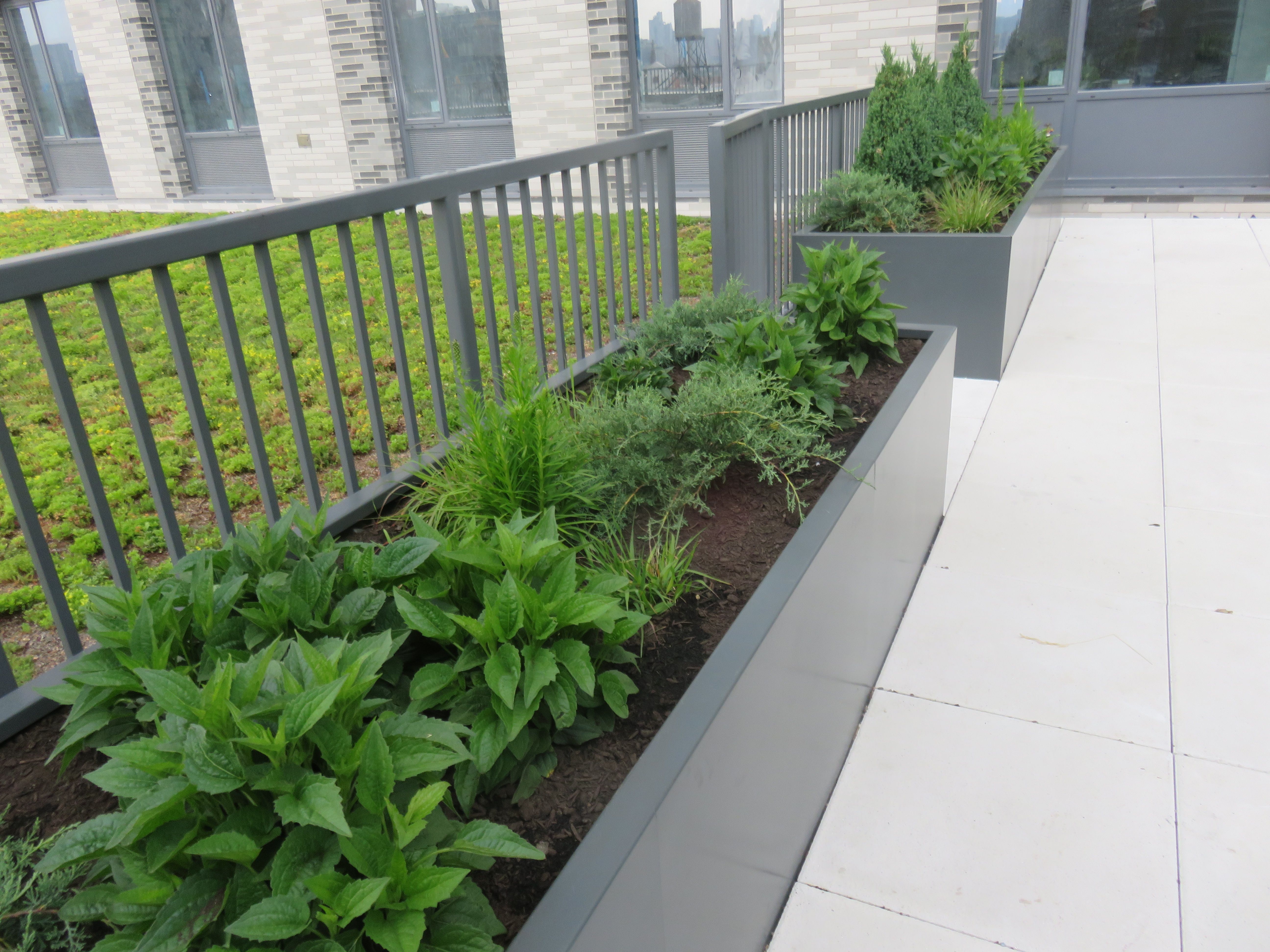 National Urban League green roof by L&M Roofing