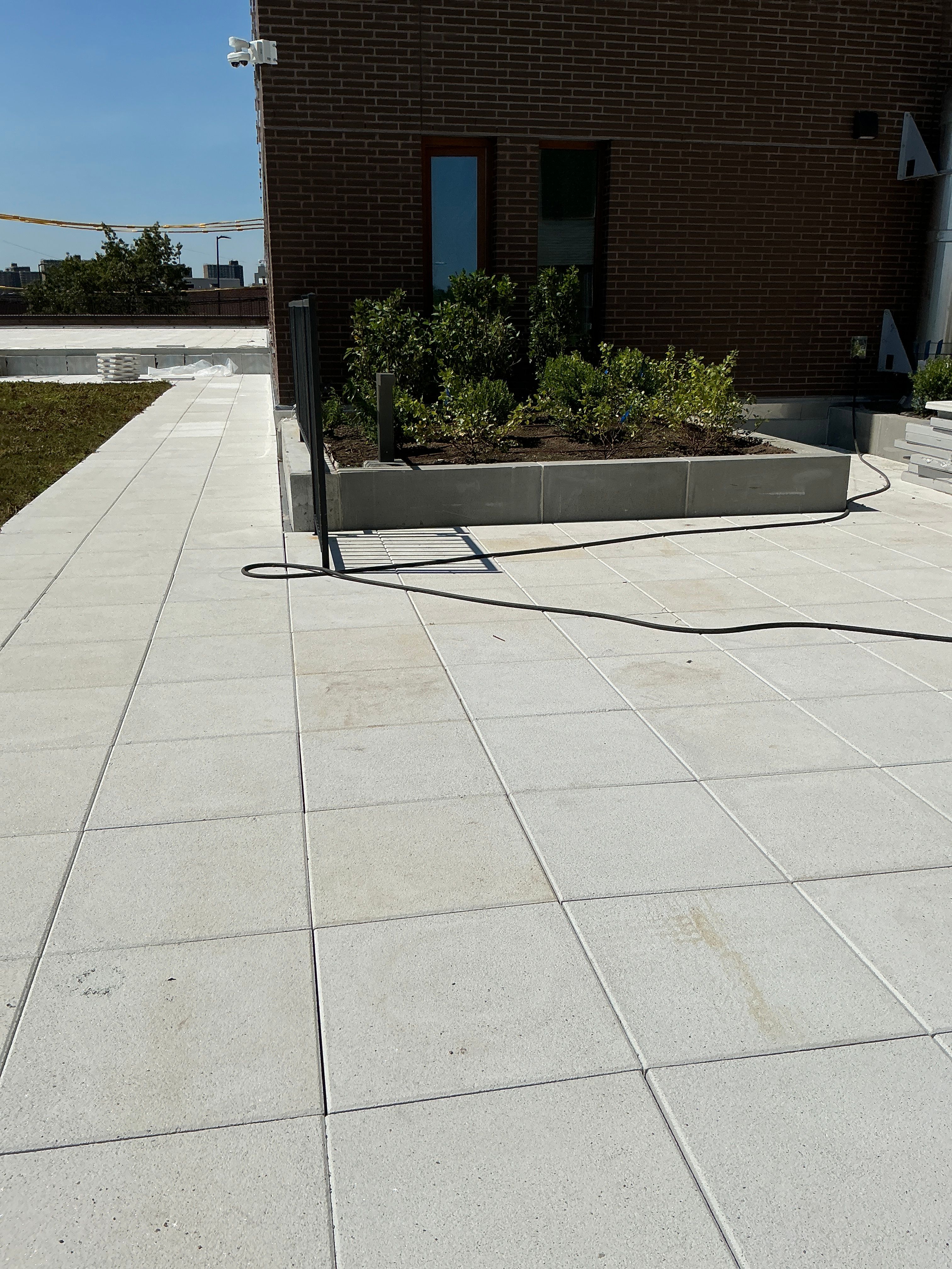 Vital Brooklyn - Phase 1 — image 11