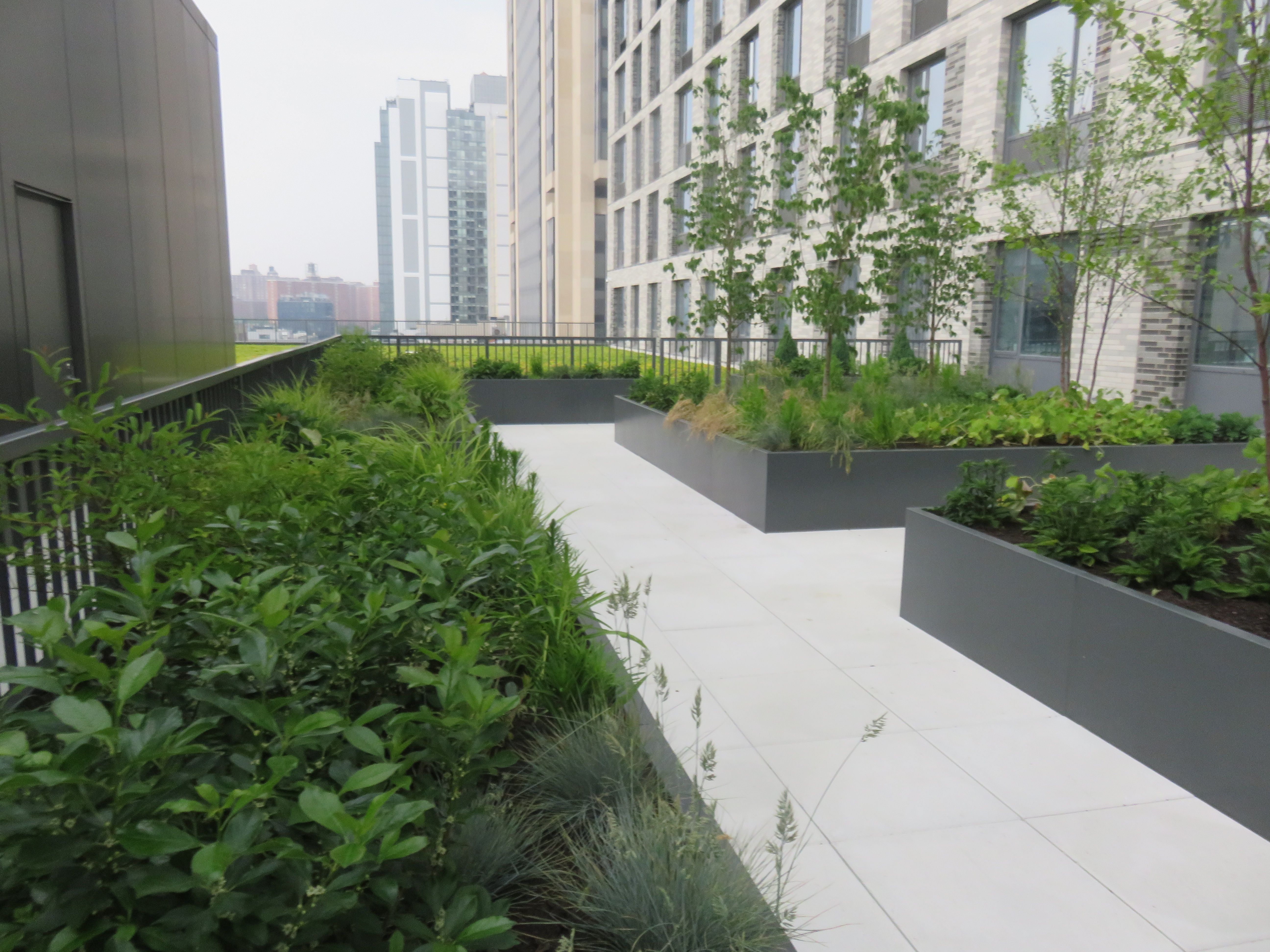 National Urban League green roof by L&M Roofing