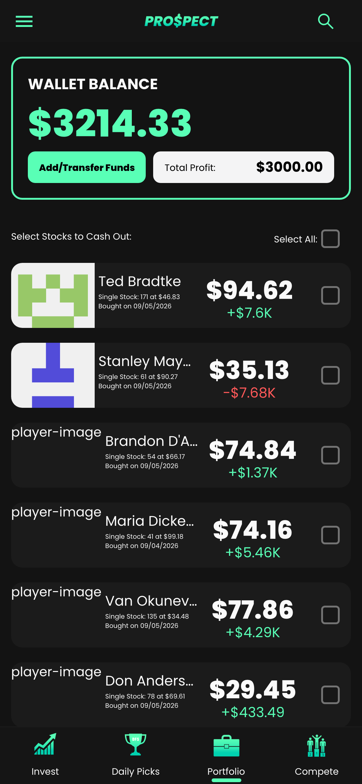portfolio