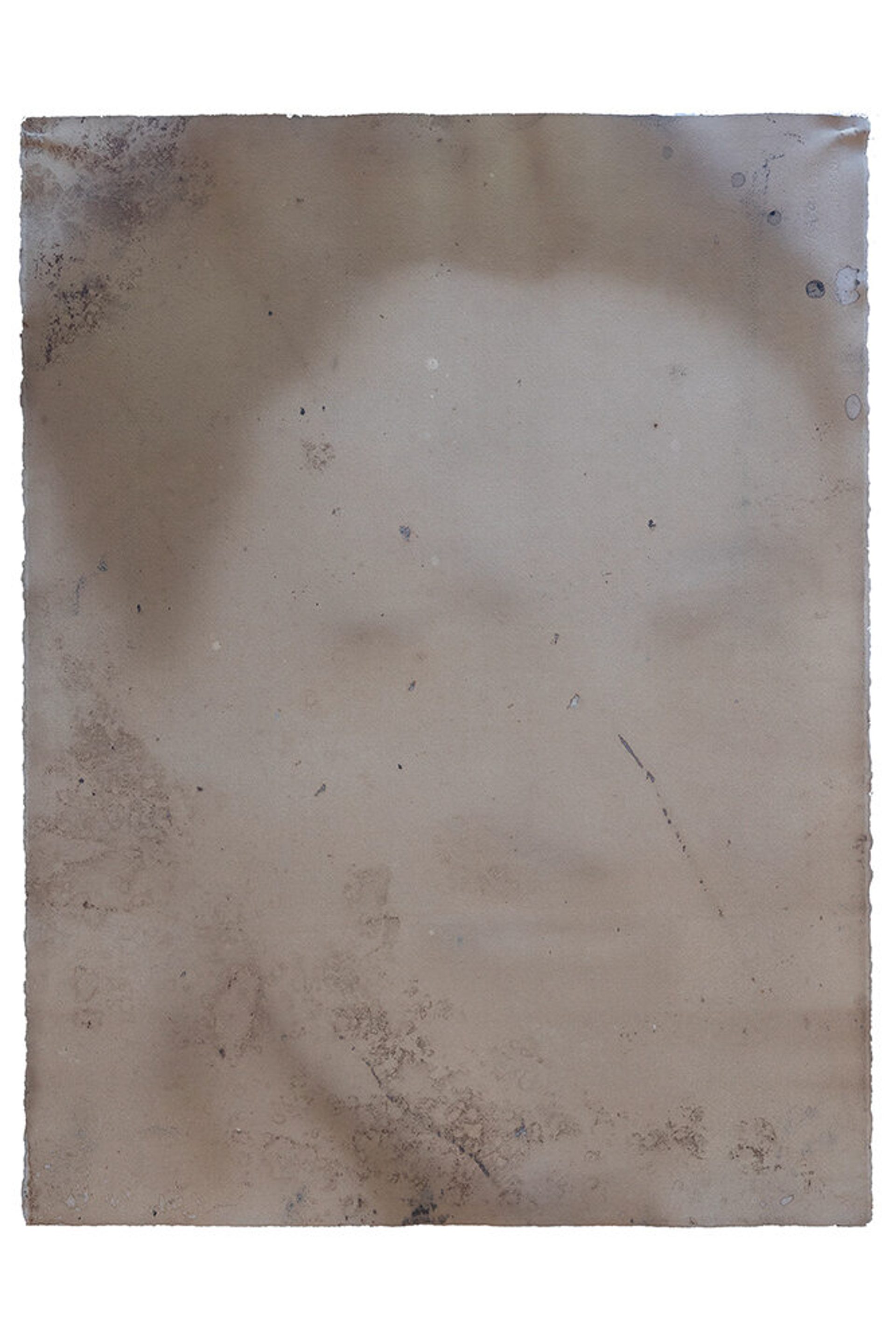 Tyler H (triptych)