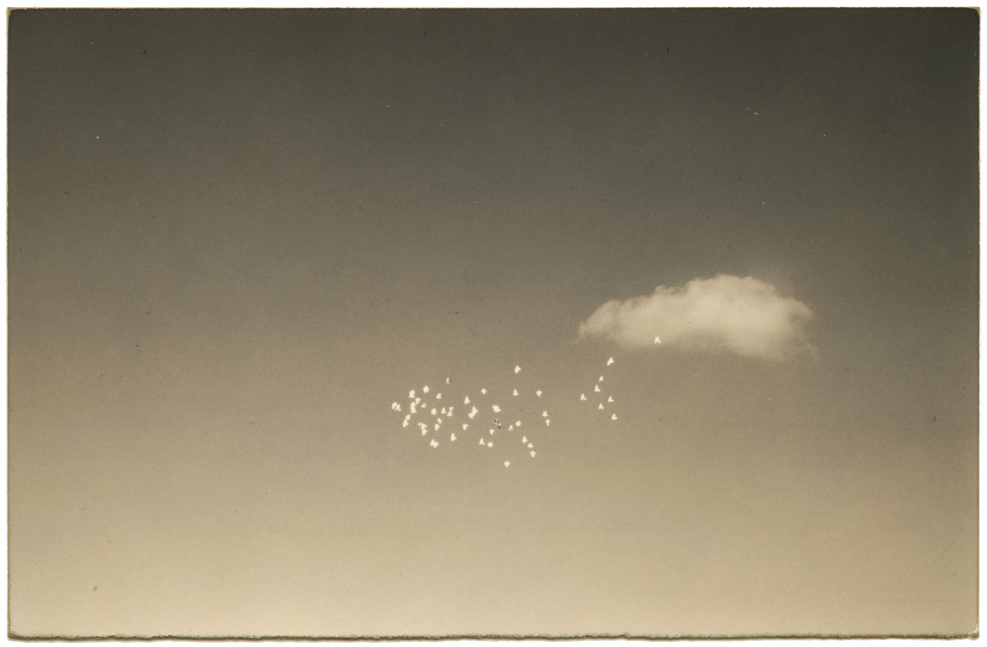 Untitled #165 (Box of Ku)