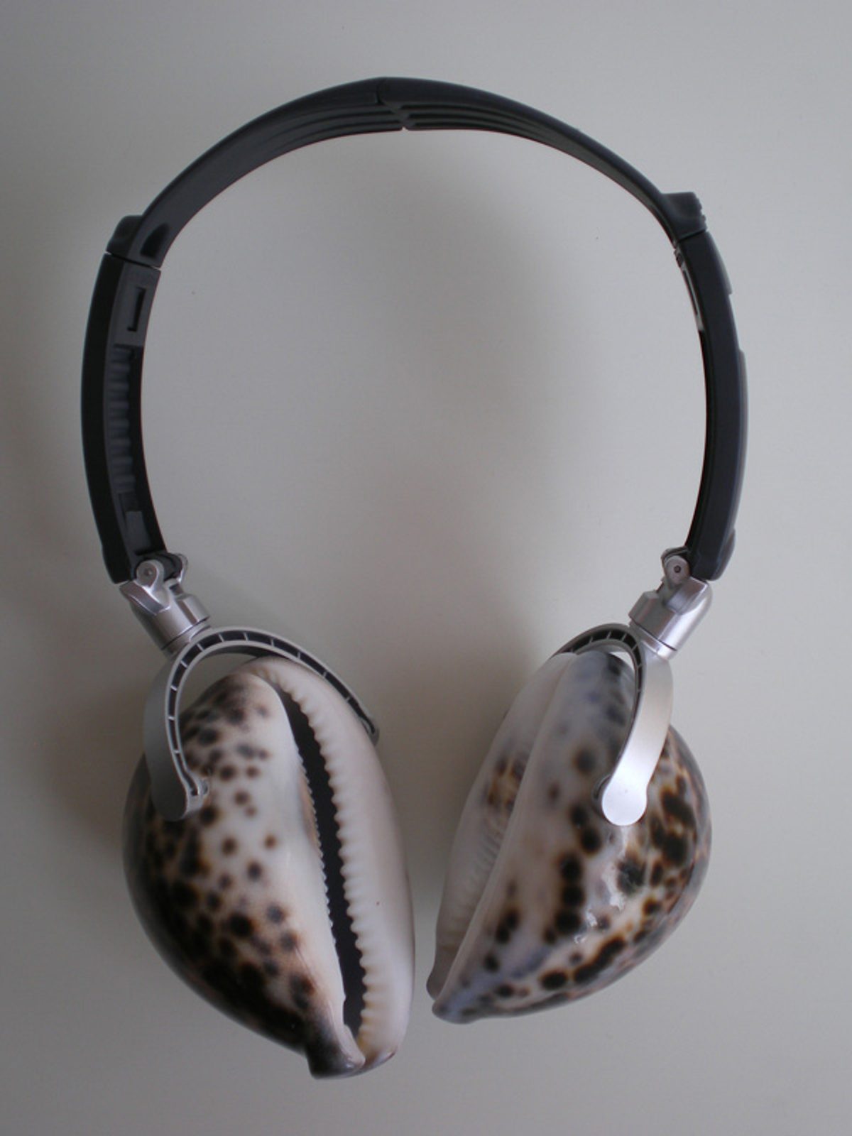 Wireless Ocean Headphones (001)