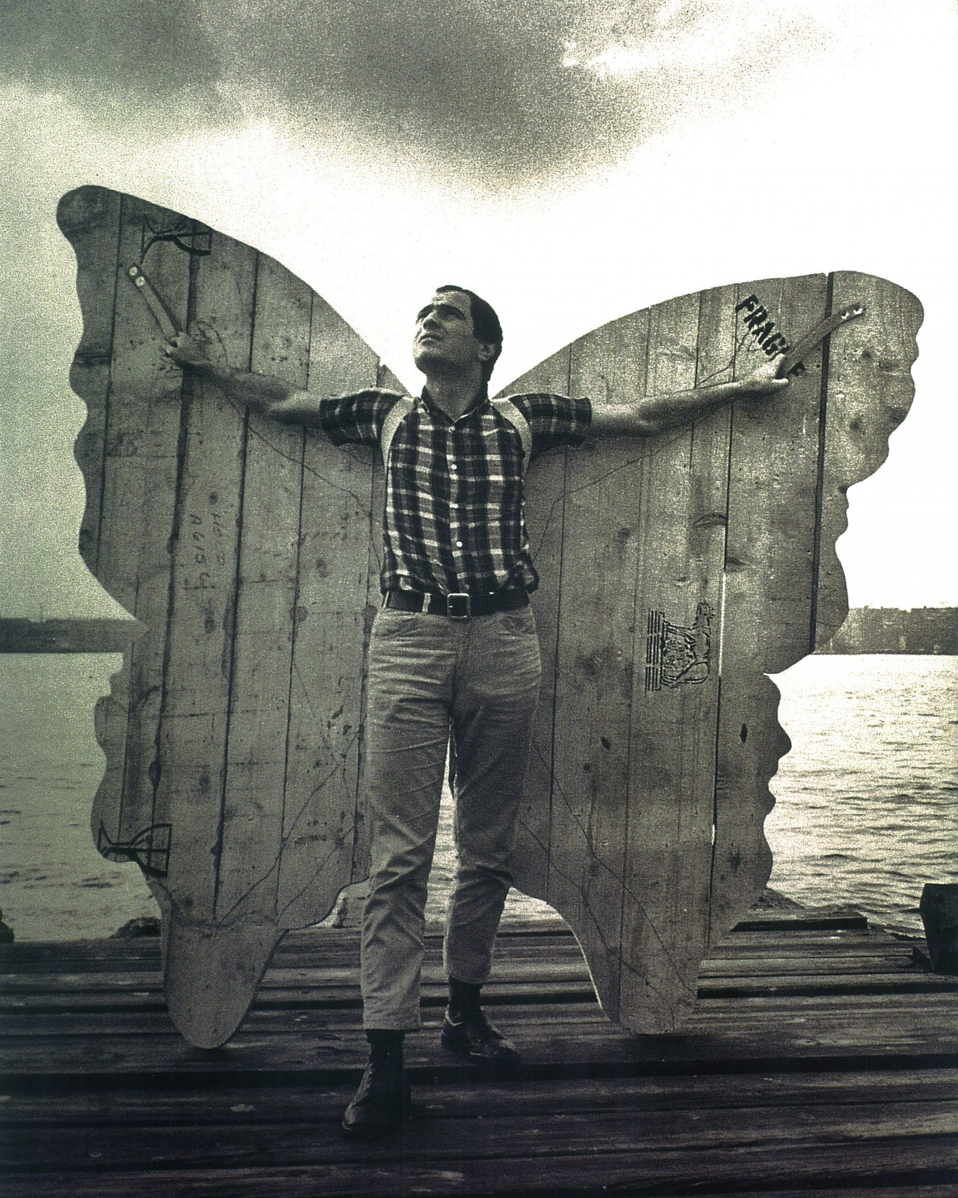 Butterfly Wings