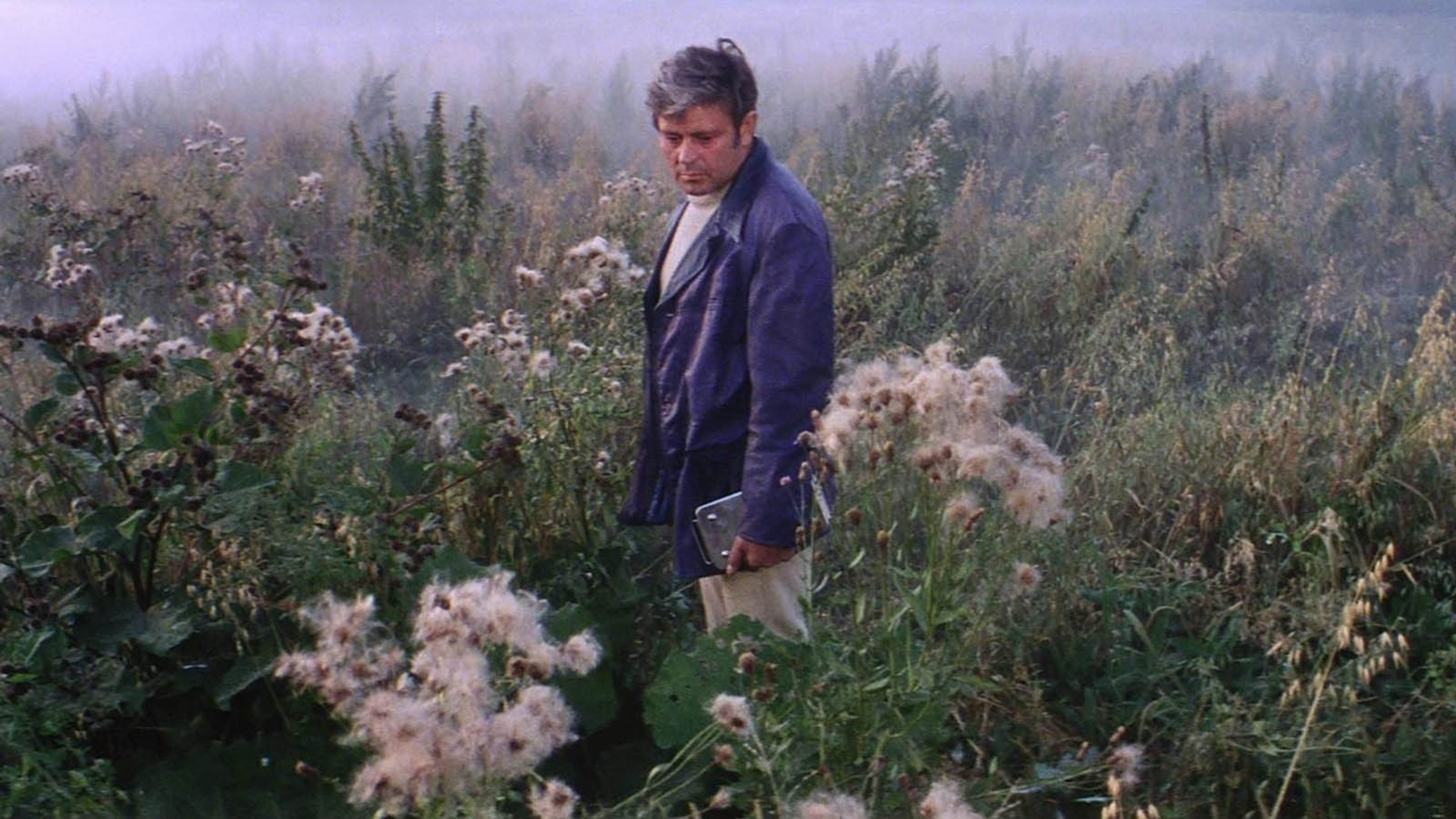 Solaris (Still)