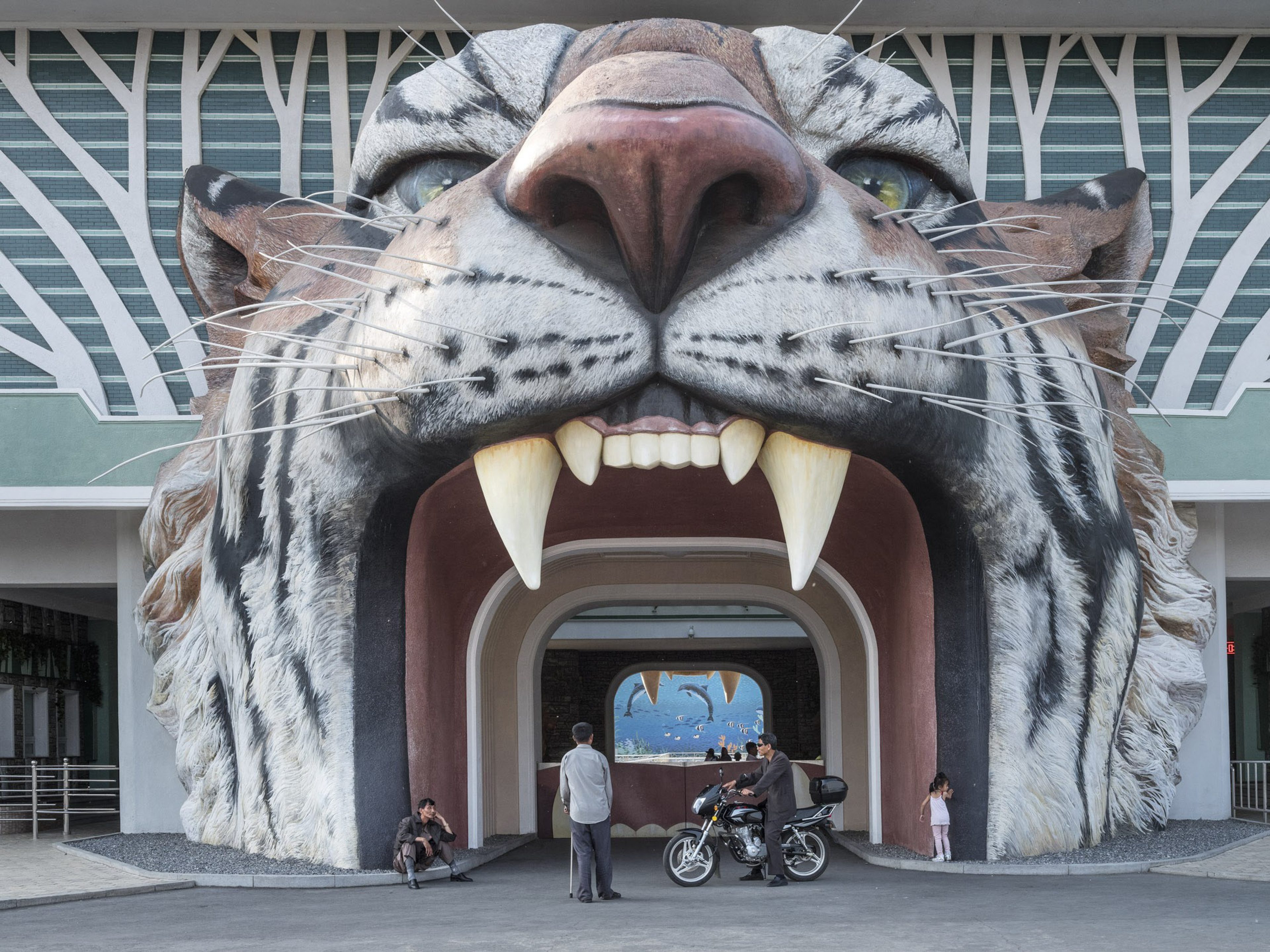 Into the tiger’s mouth