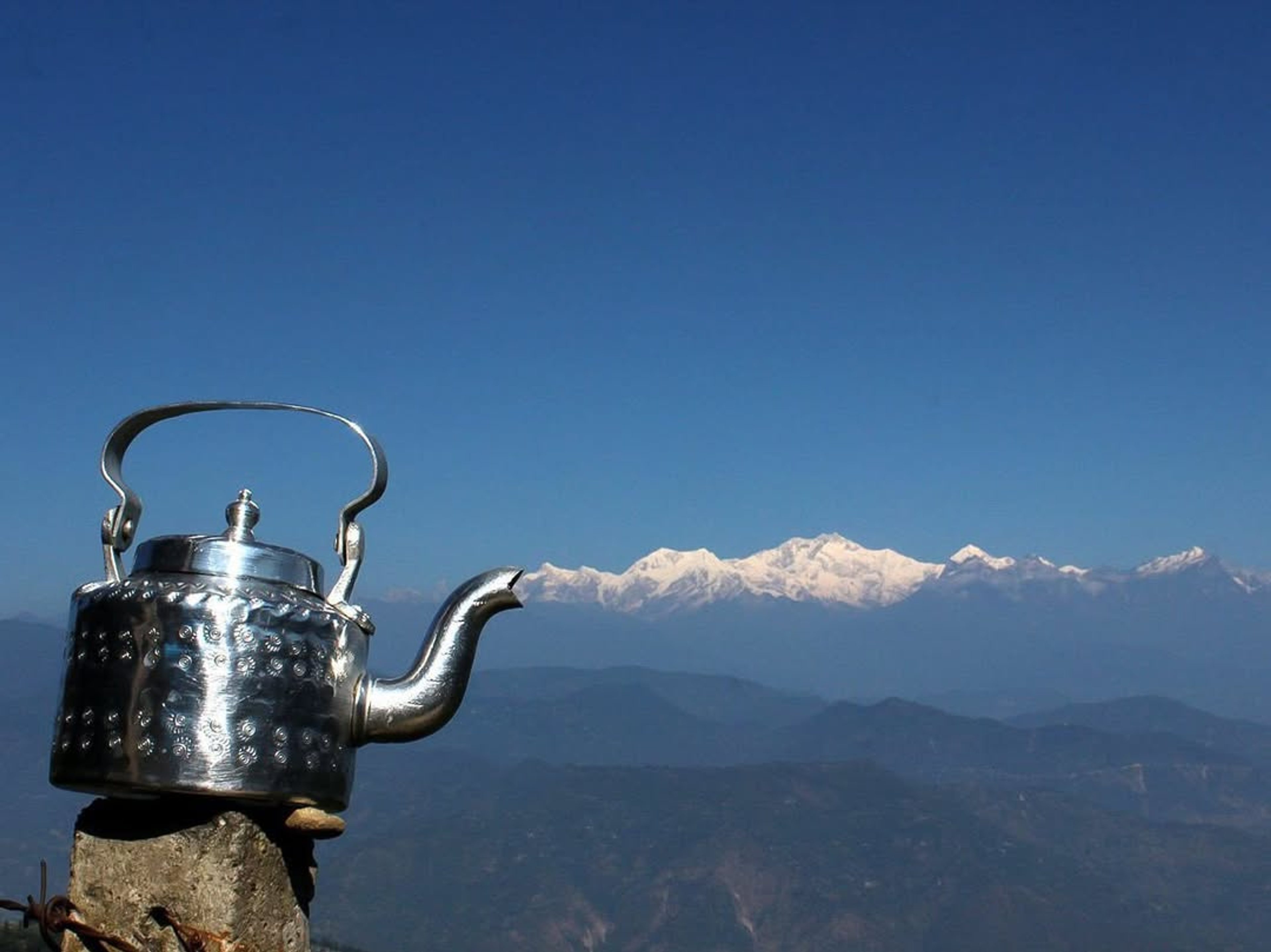 Unknown (Darjeeling, India)