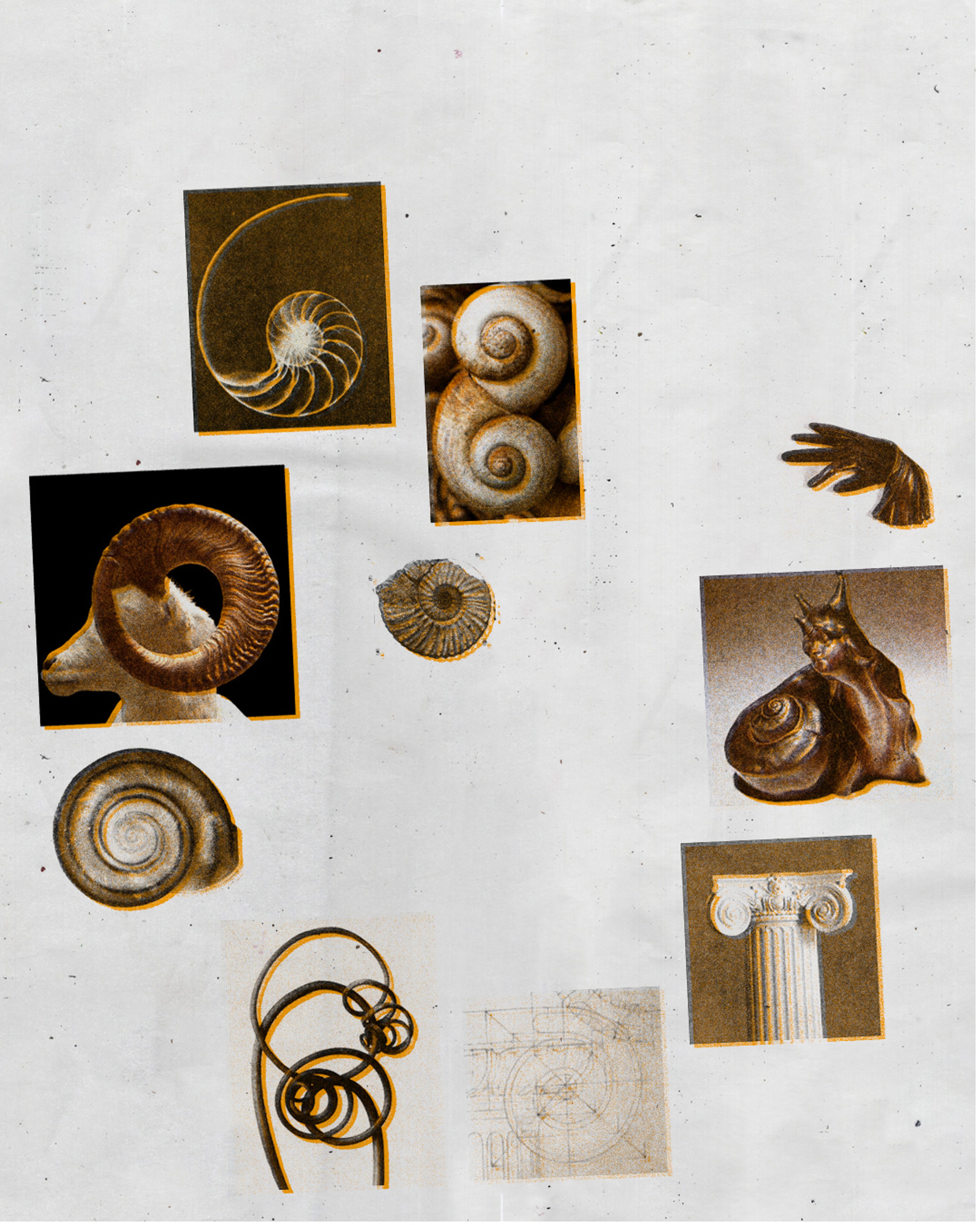 156_OO®_Design