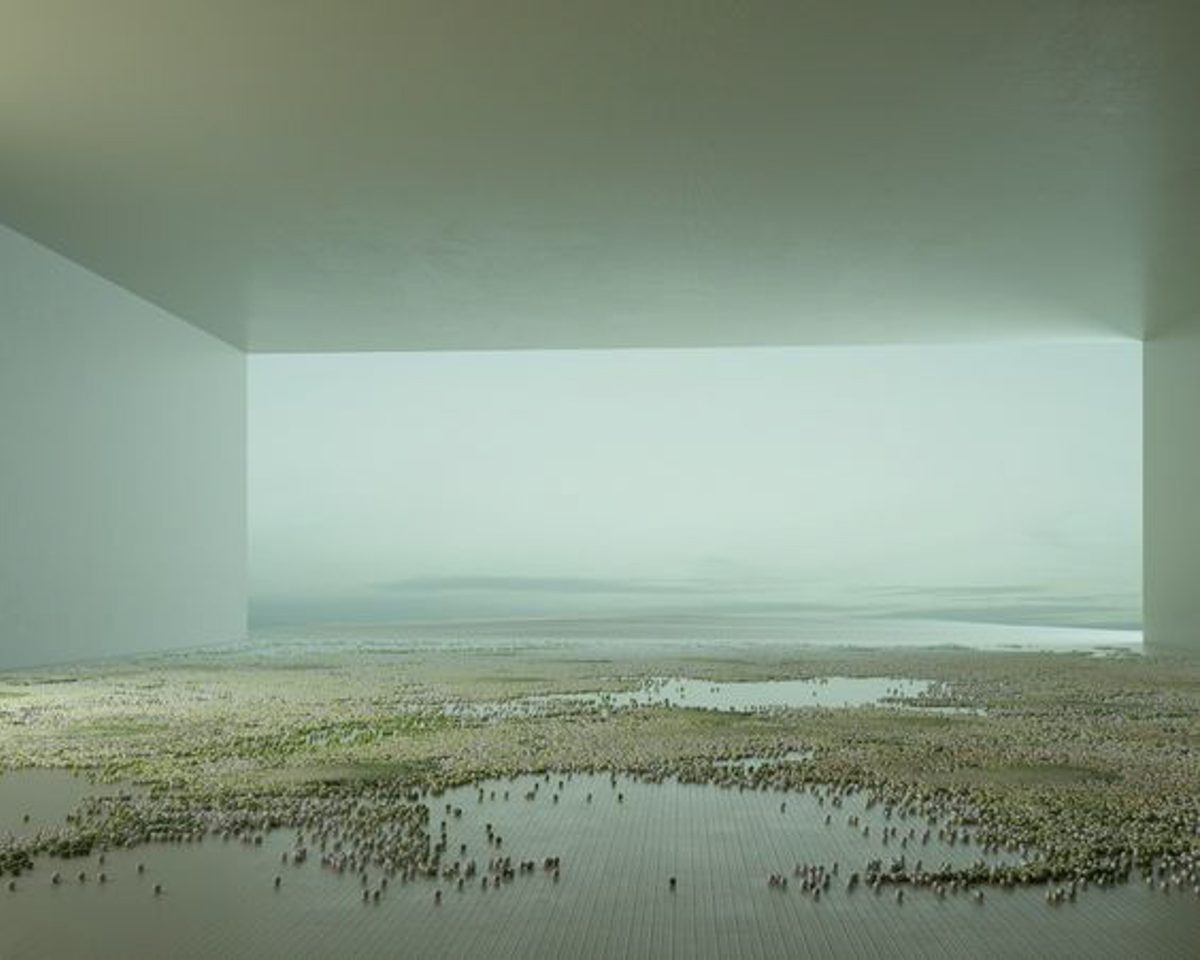 The Moss n°3 (Still)