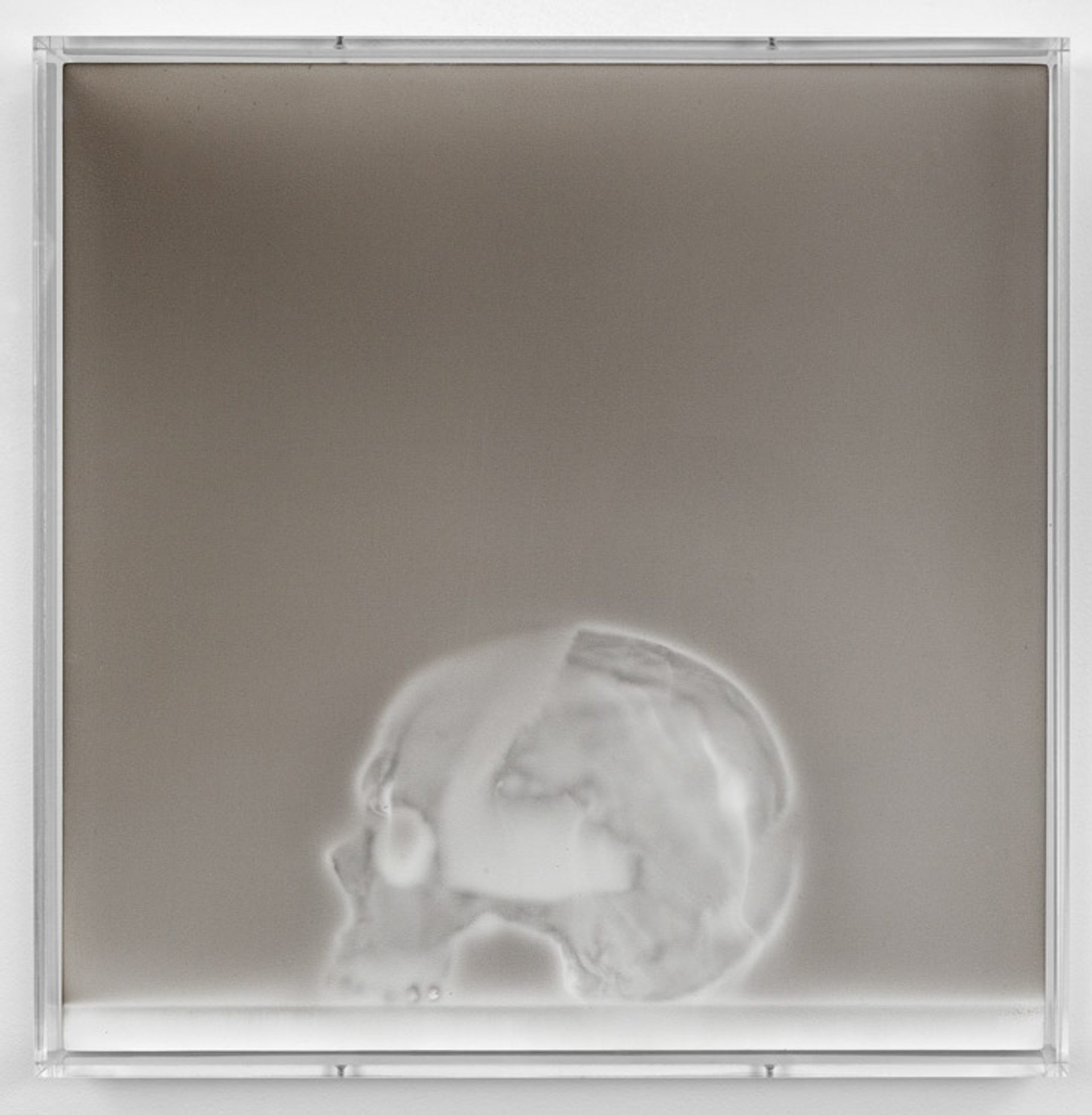 Untitled (004)