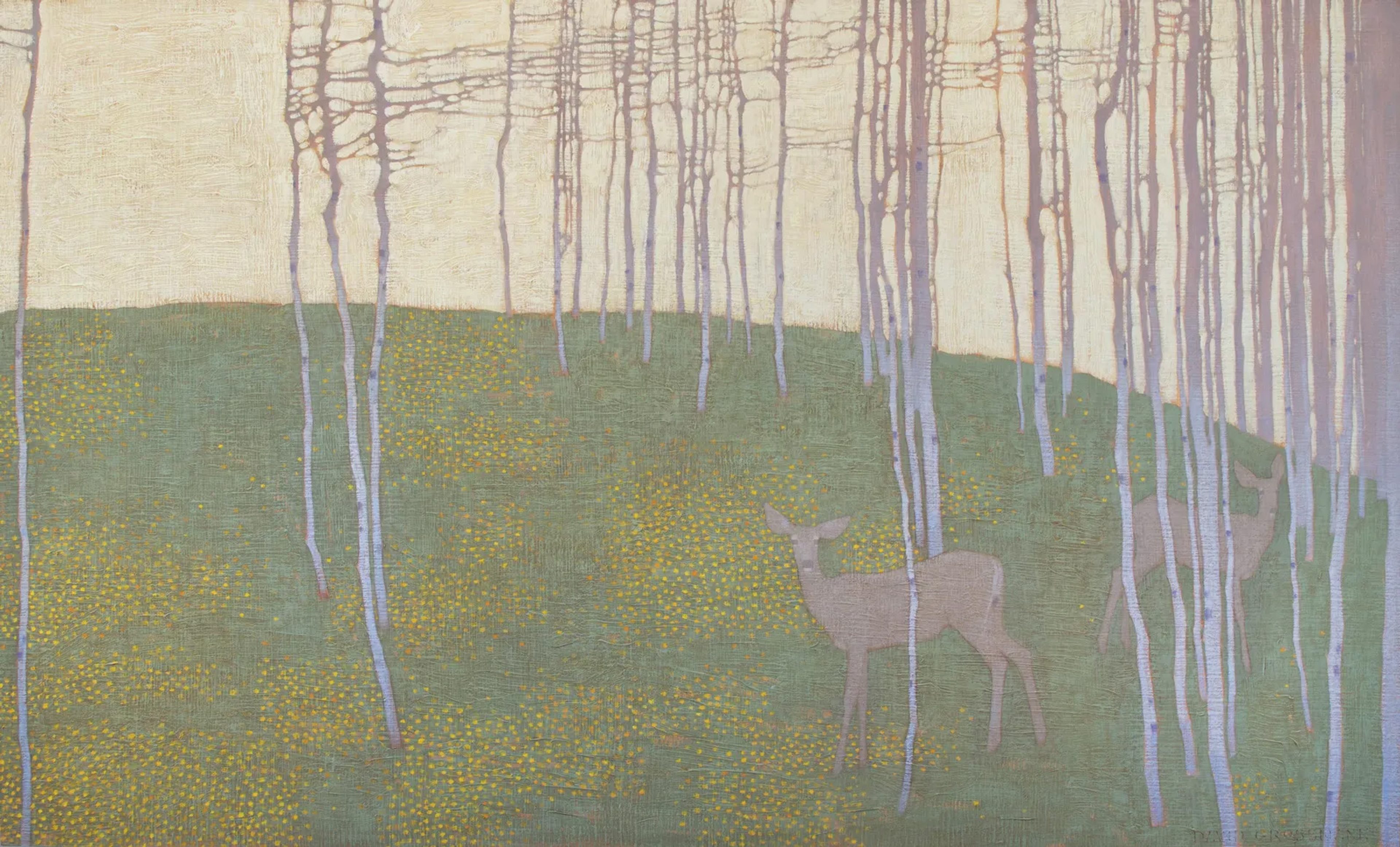 Summer Forest Patterns