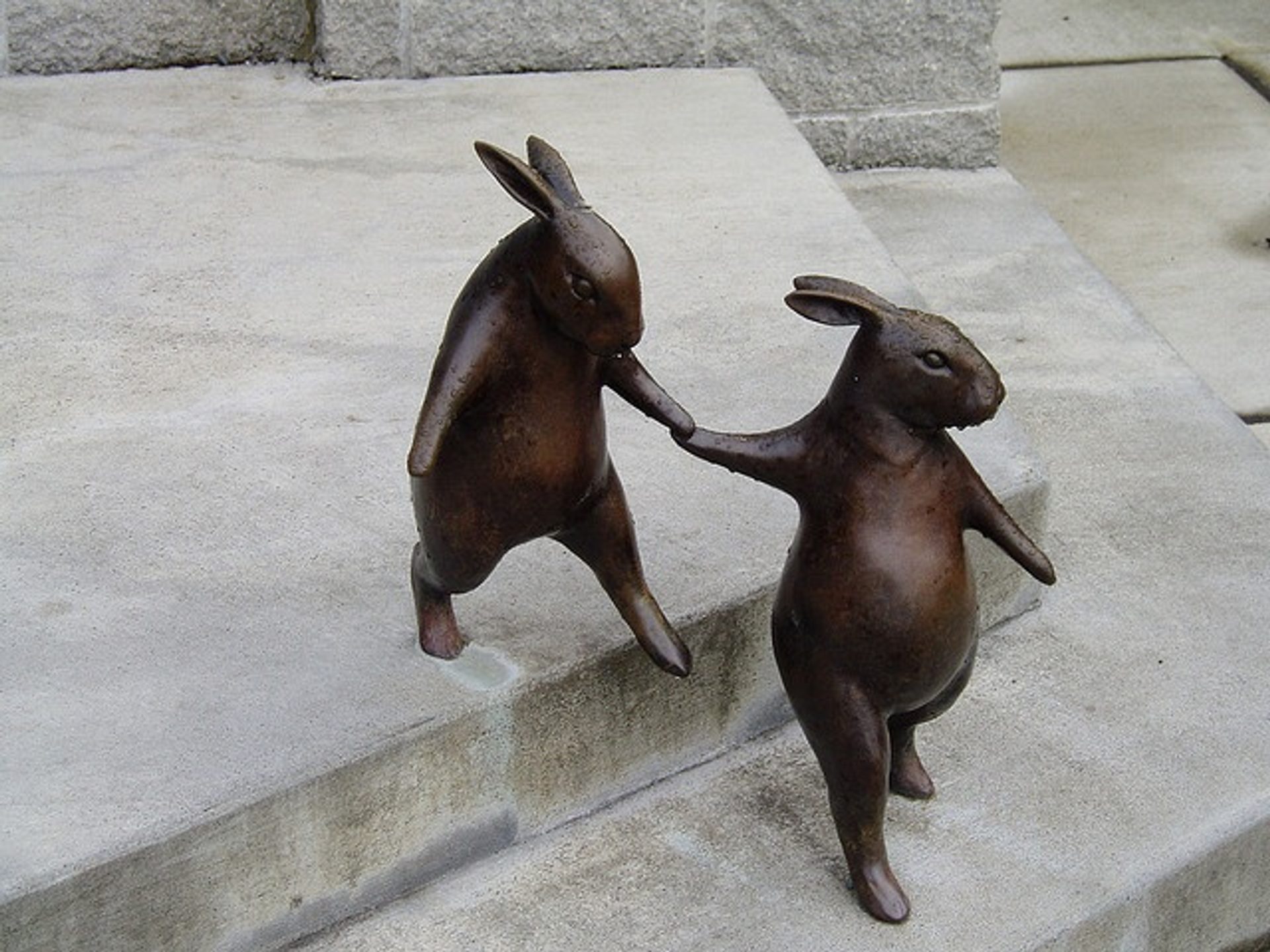 Rabbits Going Down Stairs