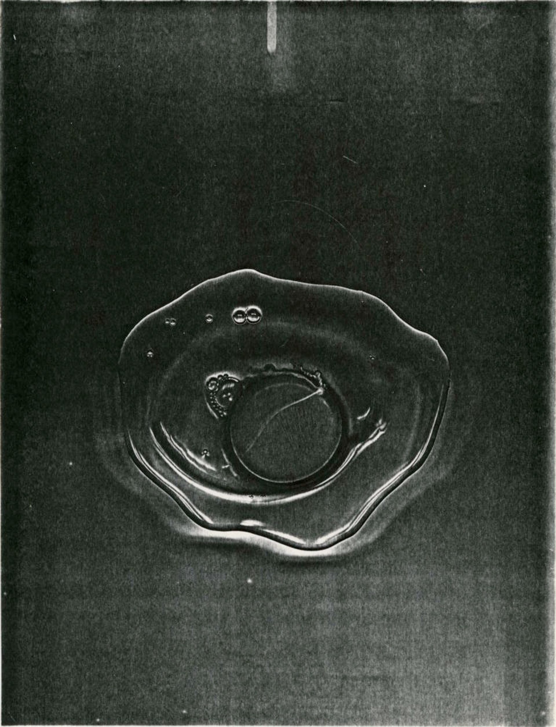 Alphabet of Common Objects (Excerpt)	