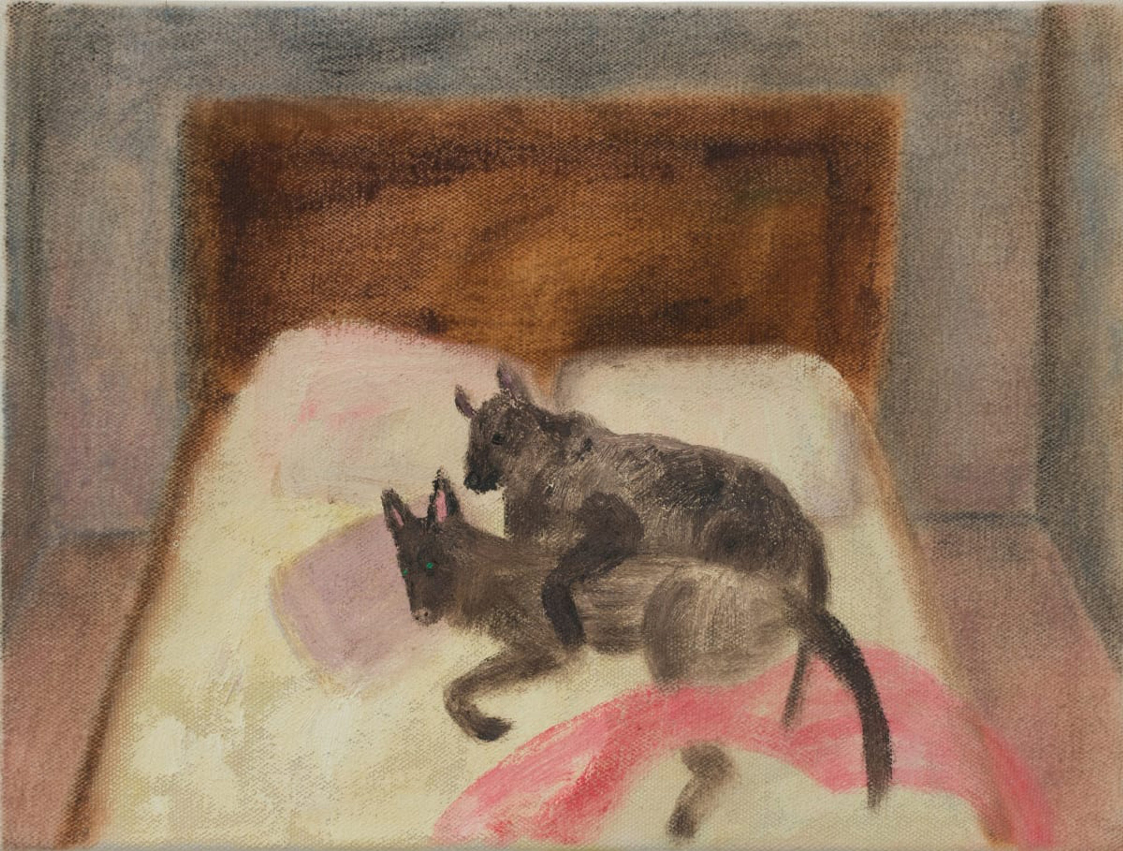 Bed