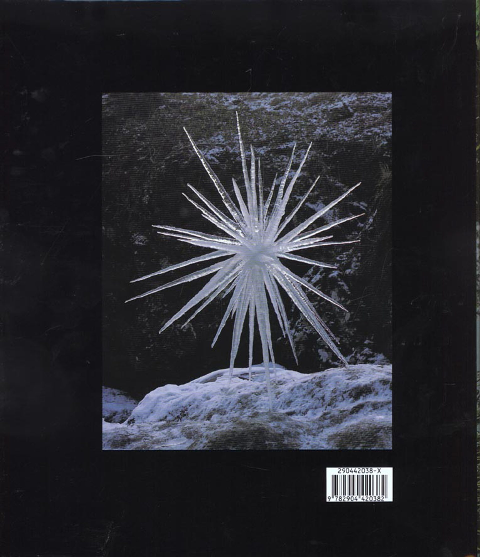 Ice Star