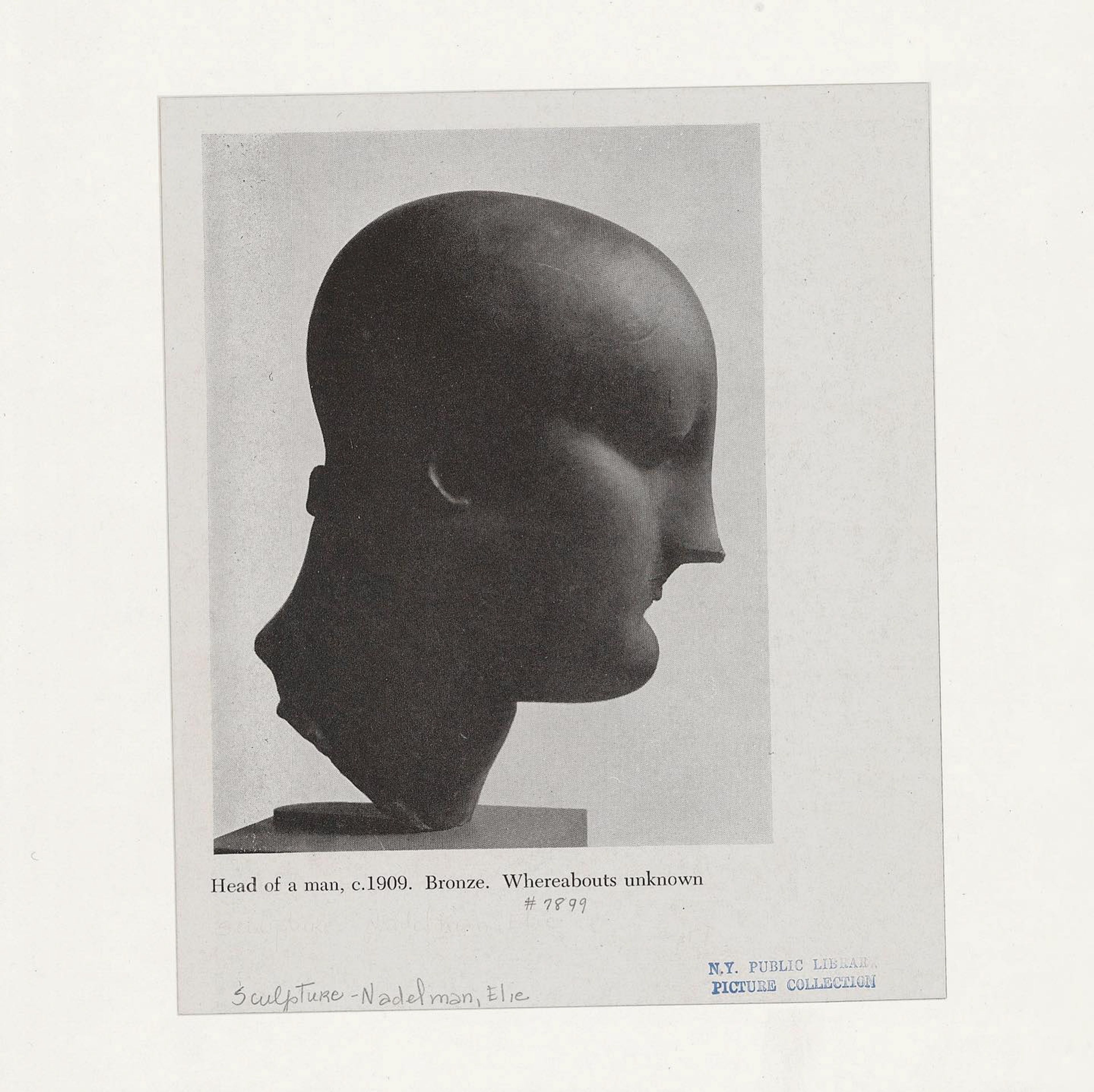 Head of a man