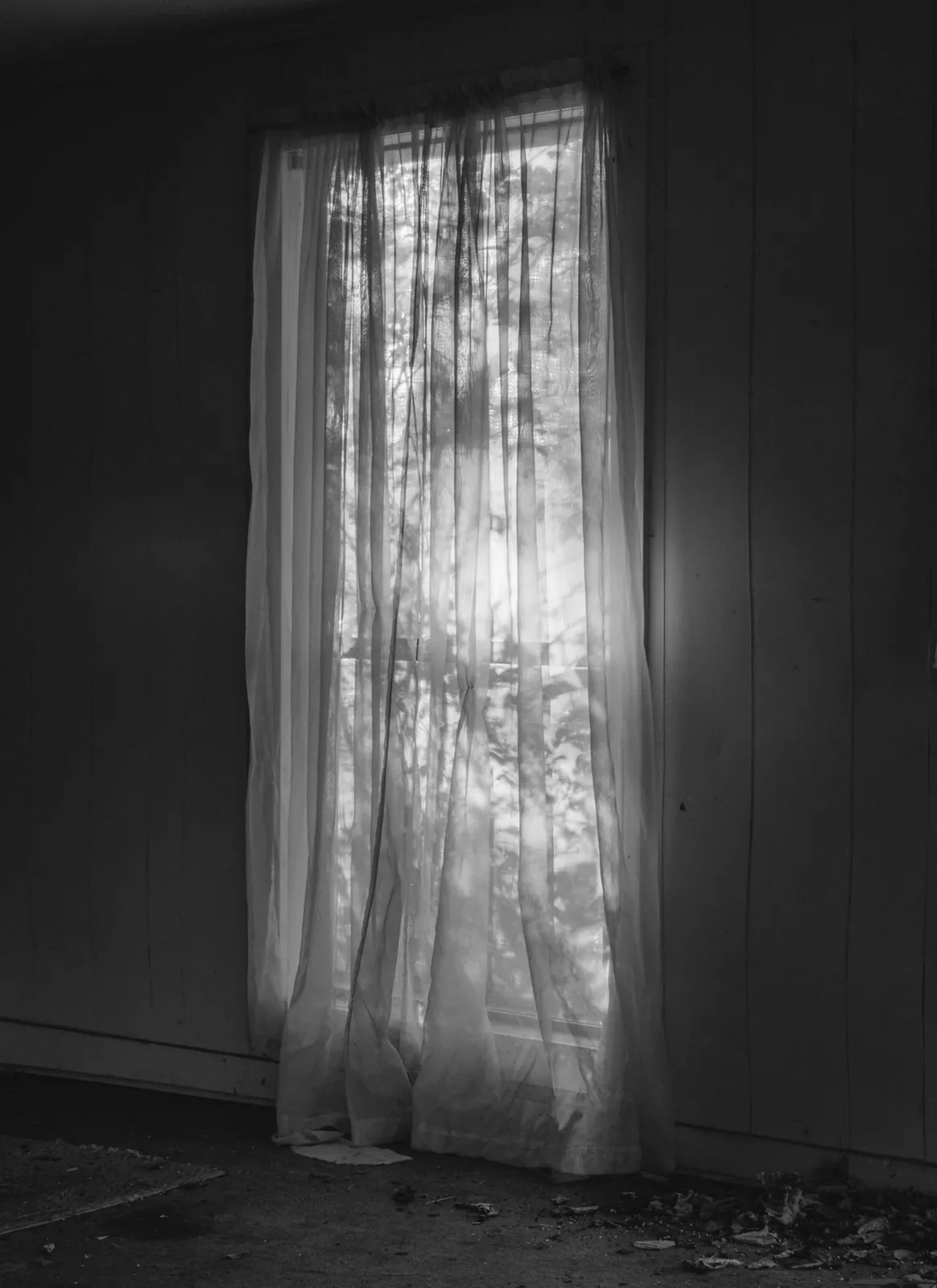 Window