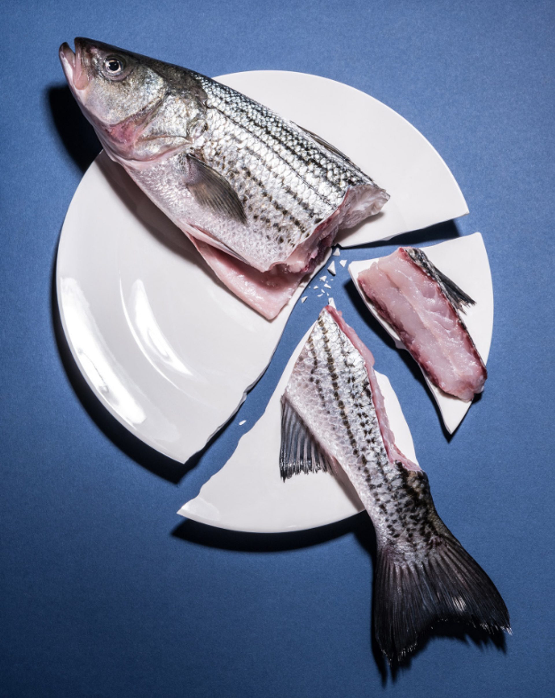 Broken Plate