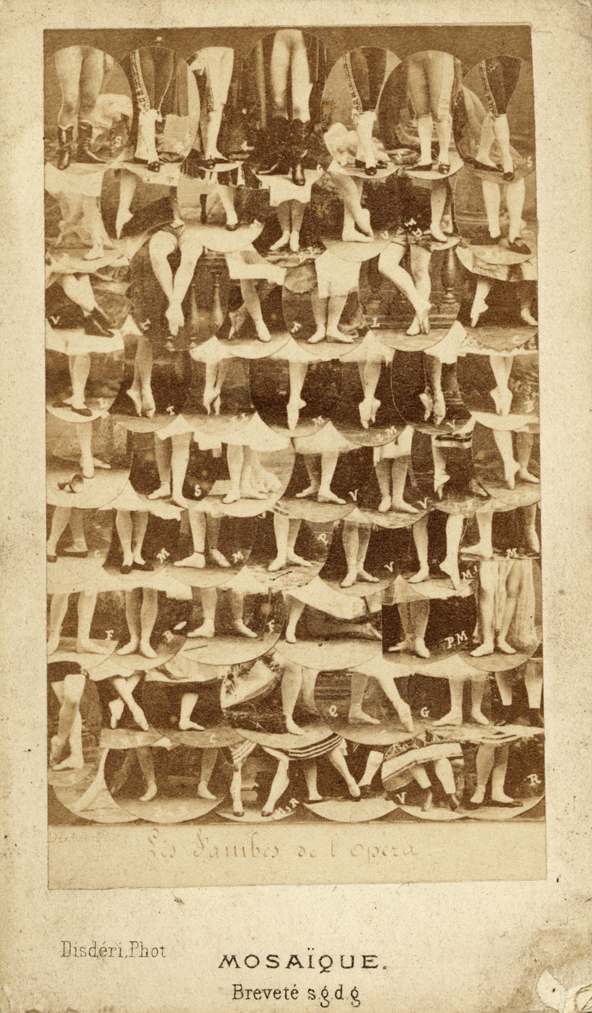 The Legs of the Opera