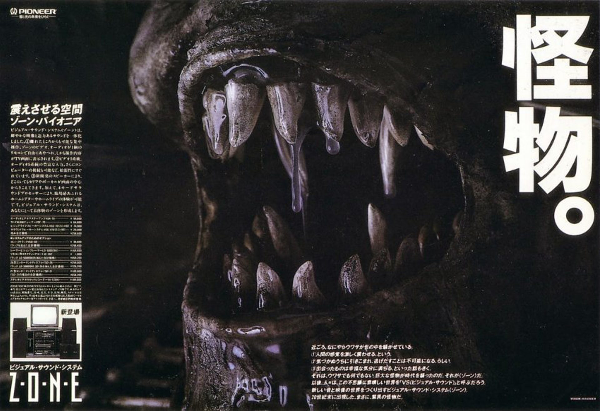 Pioneer ZONE Advertisement (001)