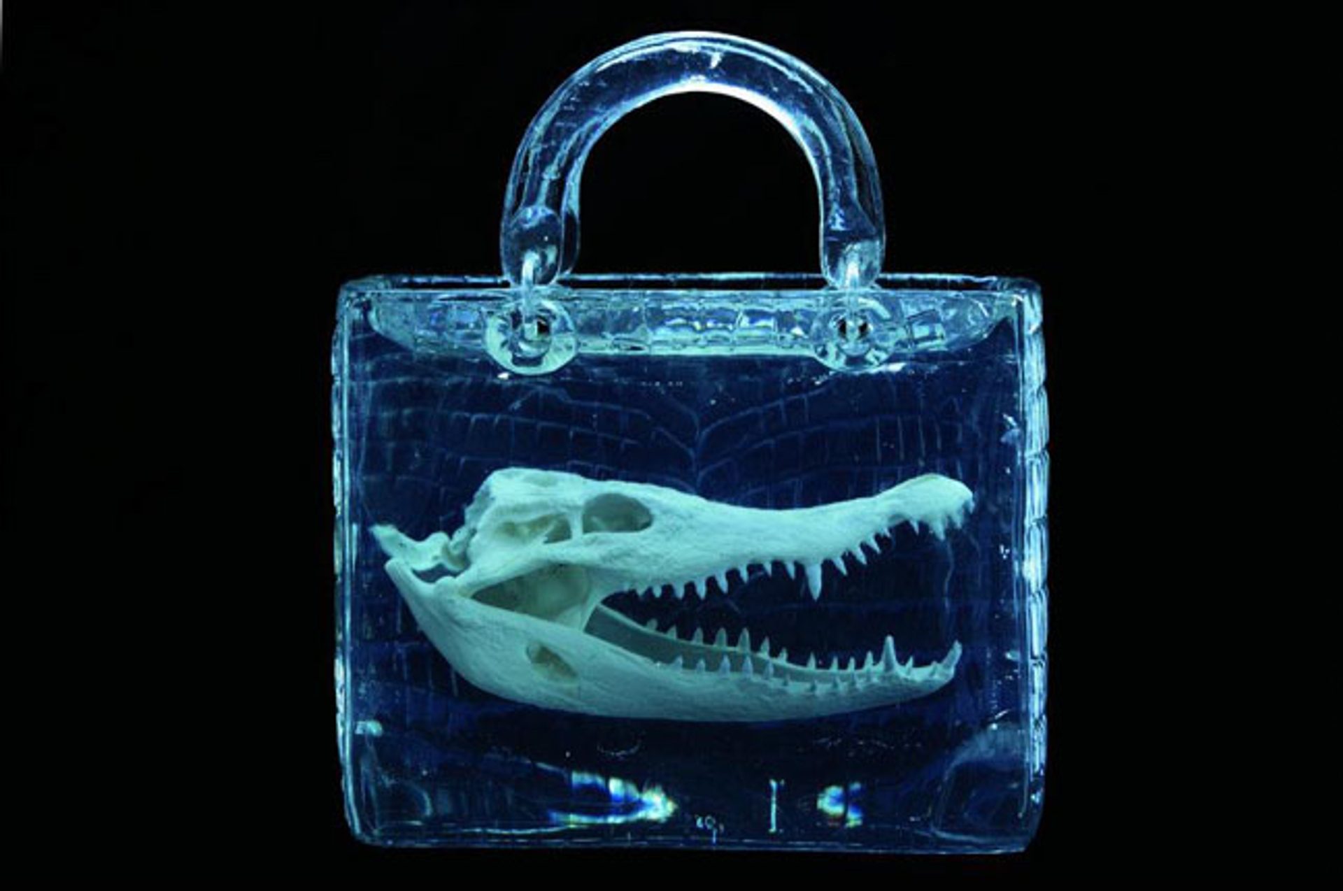 Sac Lady Dior As Seen