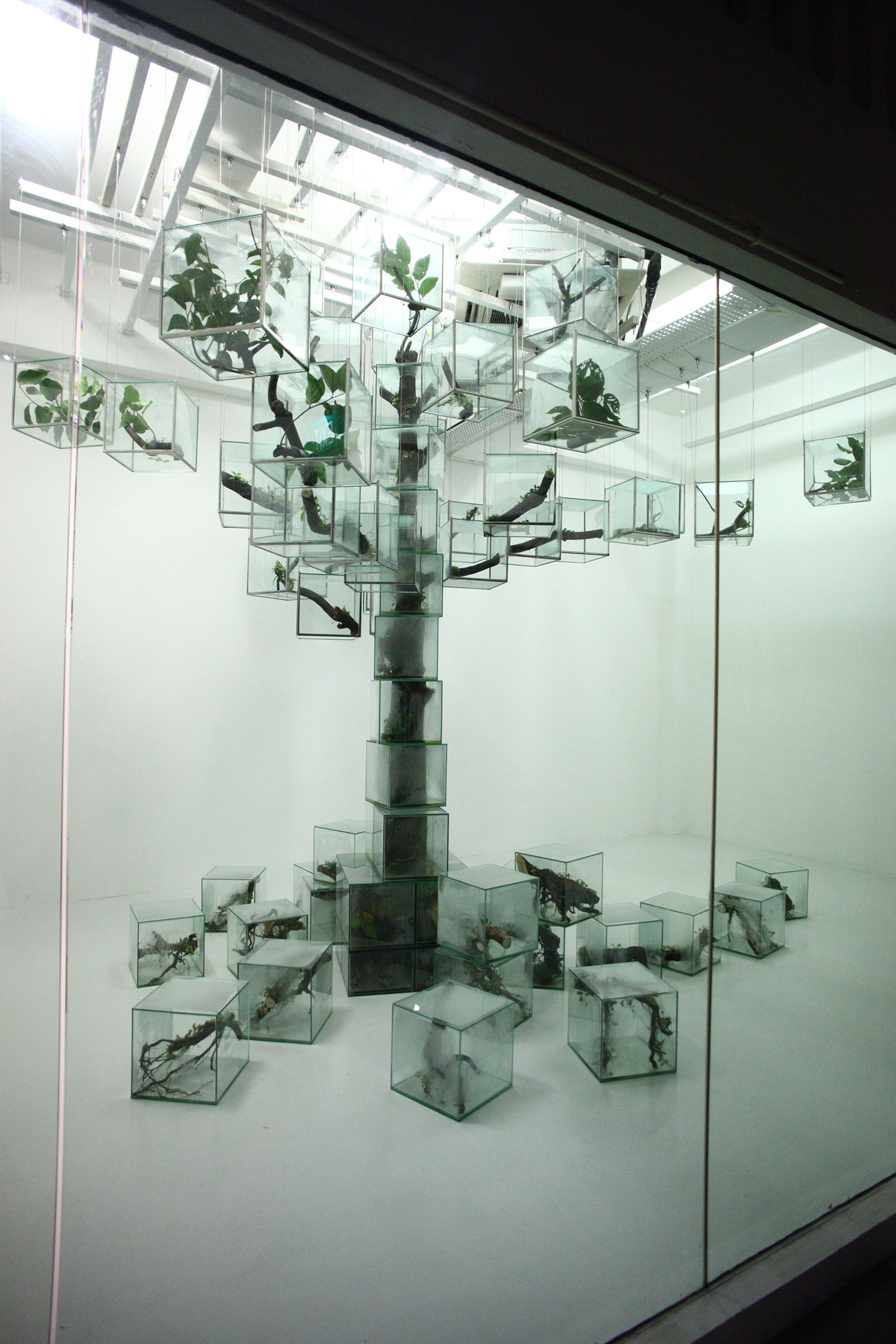 Trees
