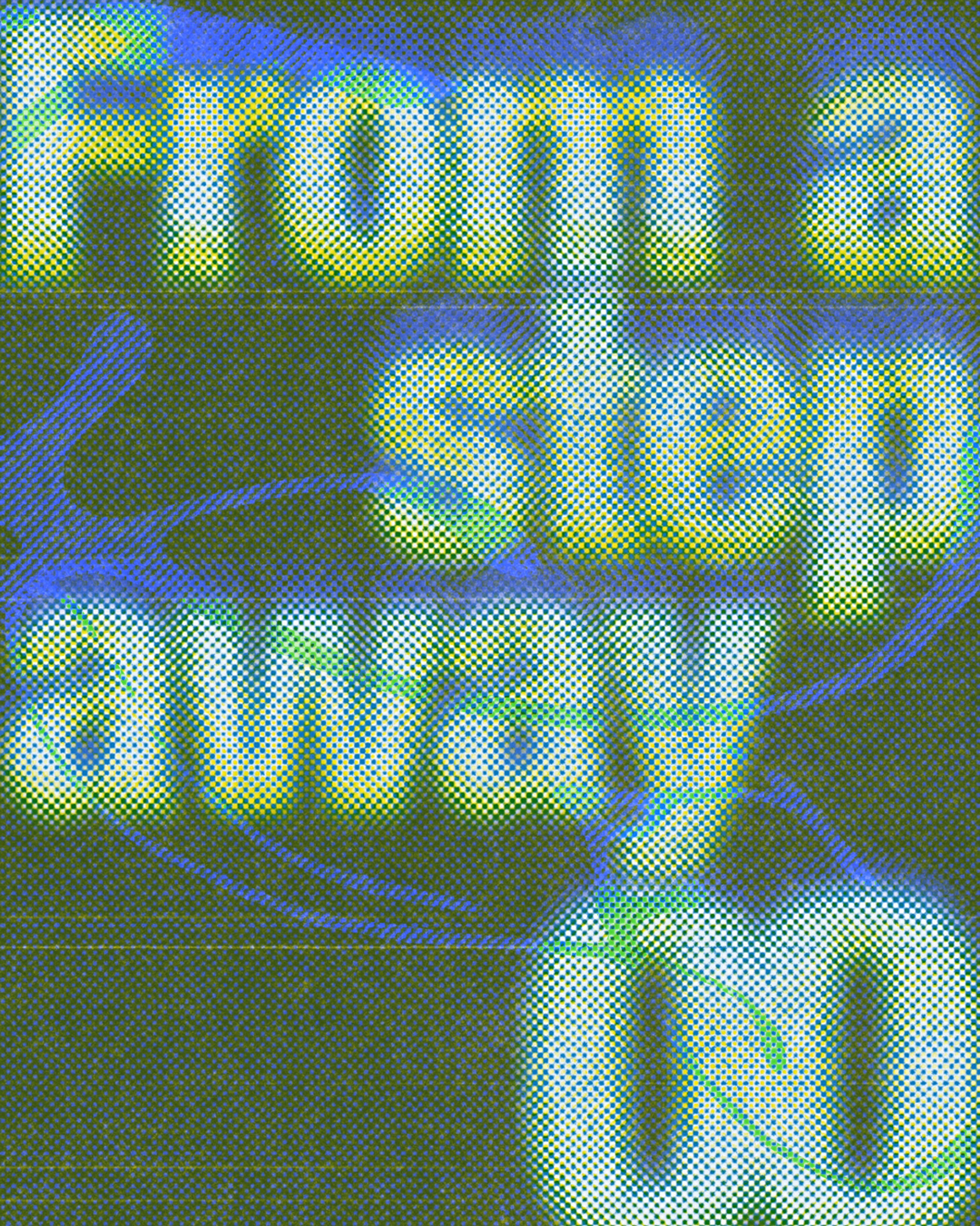 100_OO®_Design