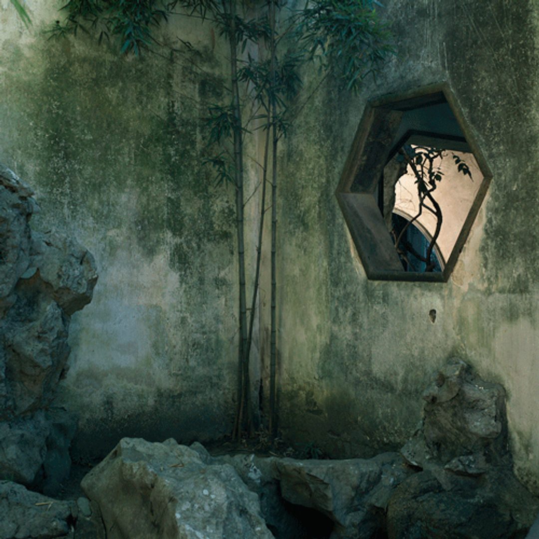 Time After Time (Lingering Garden)