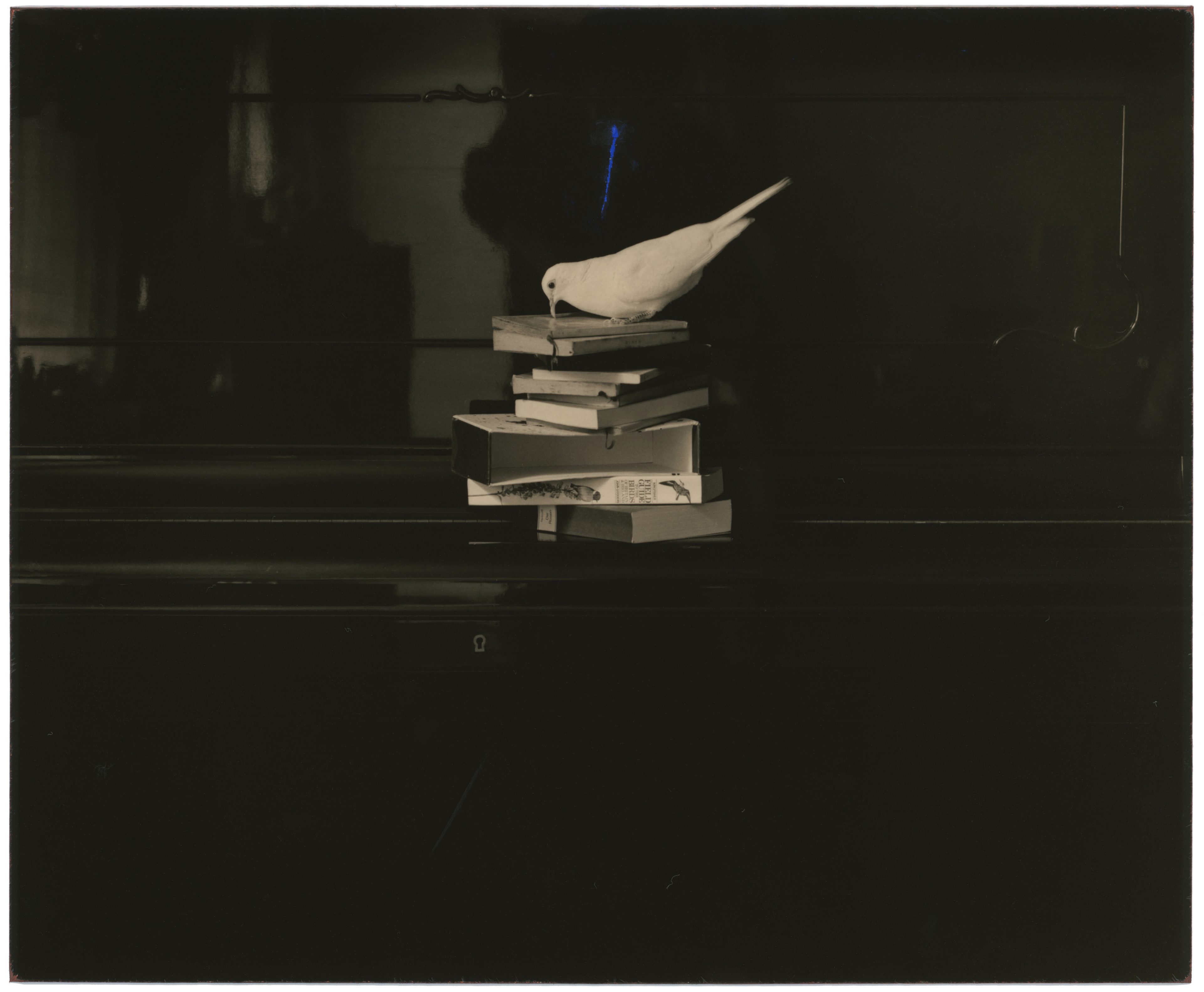 Untitled #25 (Box of Ku)