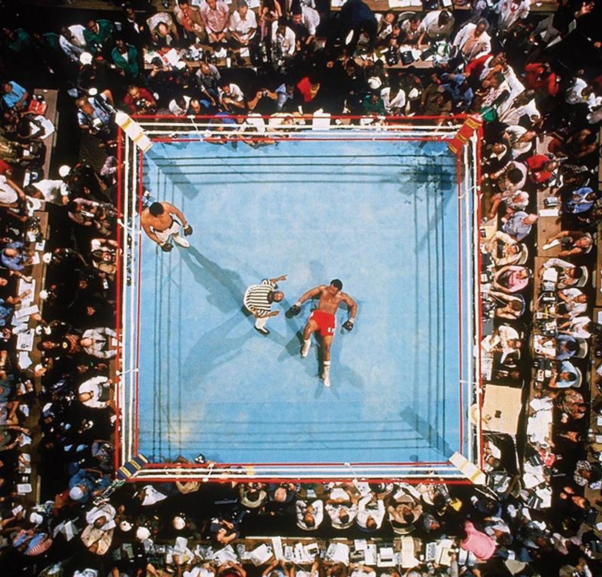 Untitled (The Rumble in the Jungle)