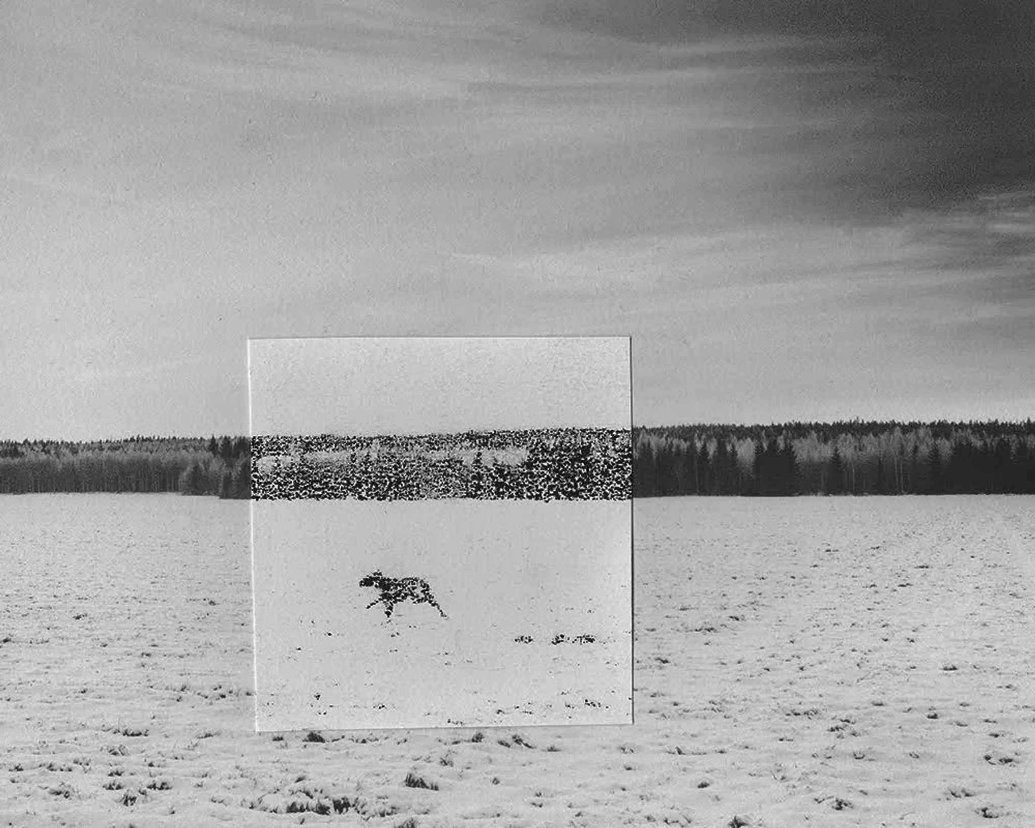 Untitled (Silence 10)