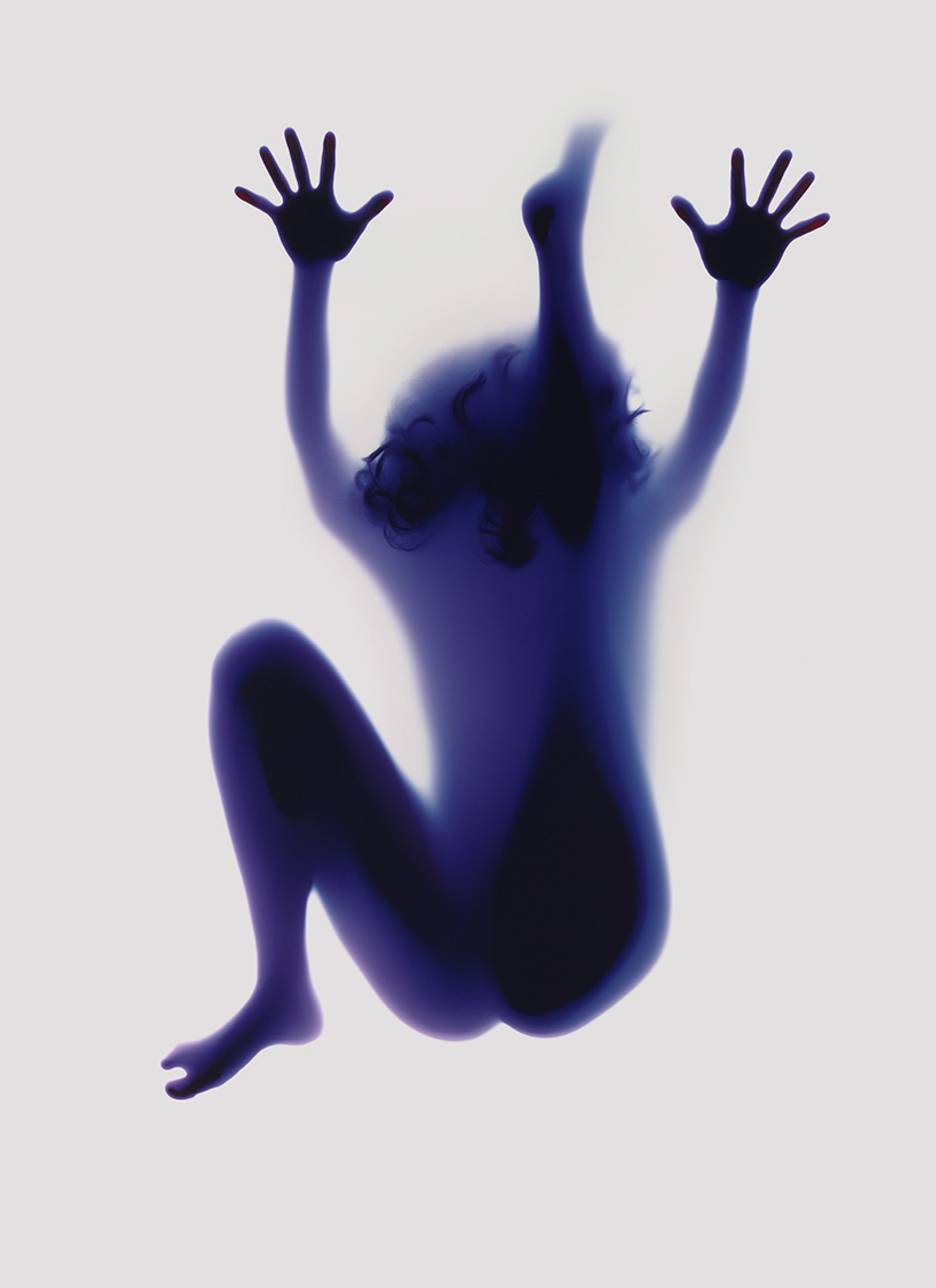 Yoga Photogram (Head to Knee Pose)