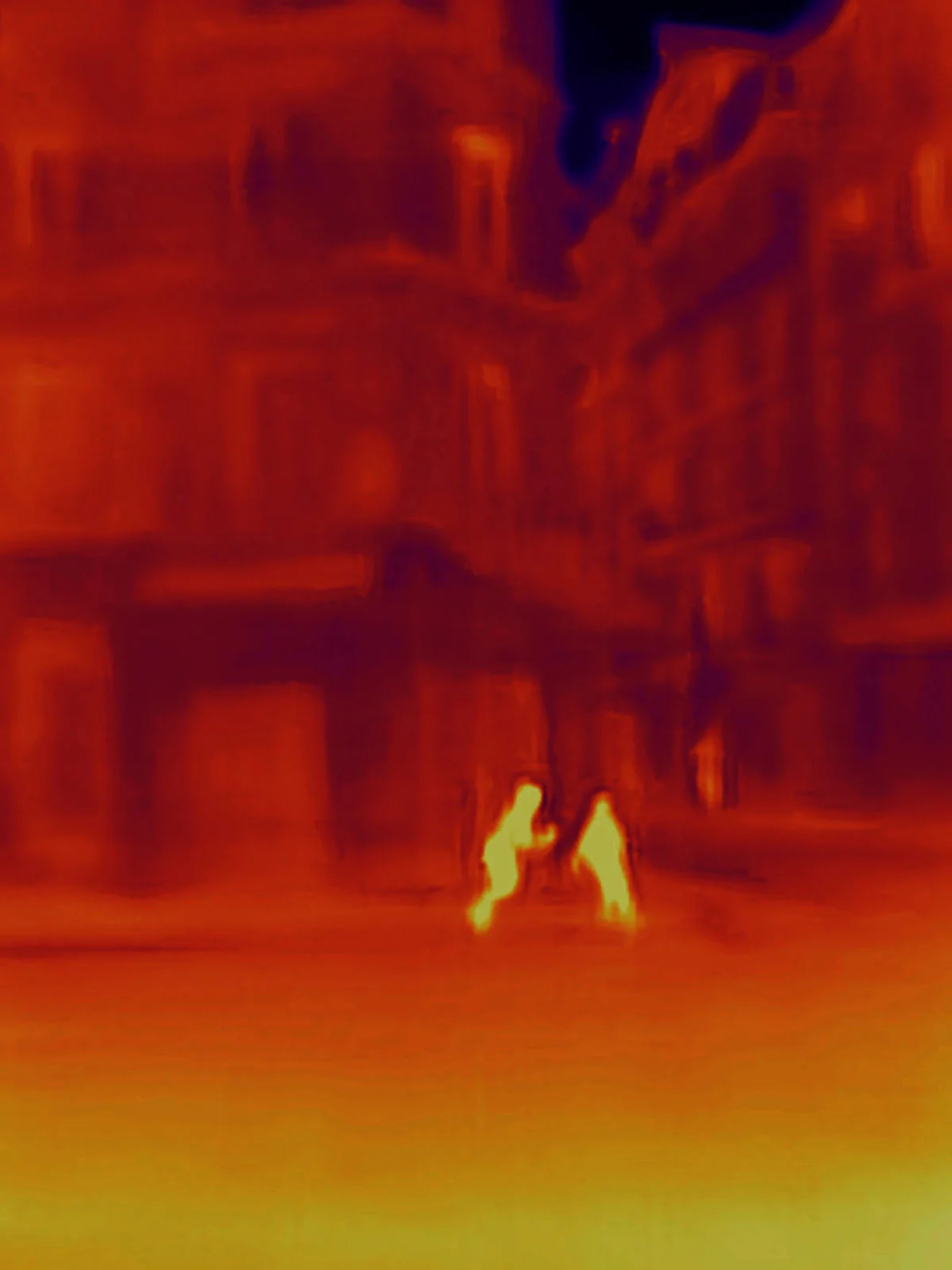 Day 5 of Paris Lockdown during COVID-19 crisis