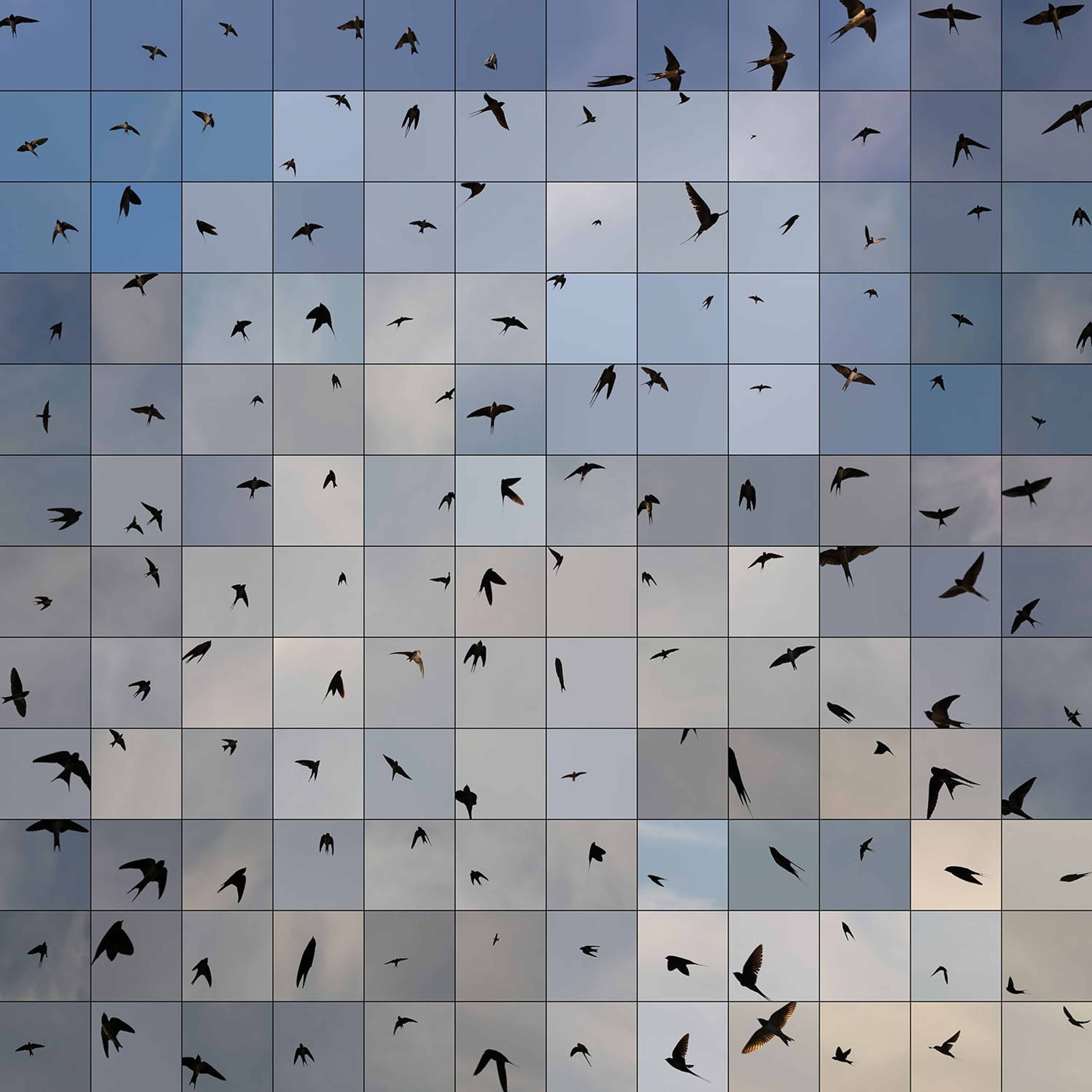Le Bleu du ciel (Excerpt)