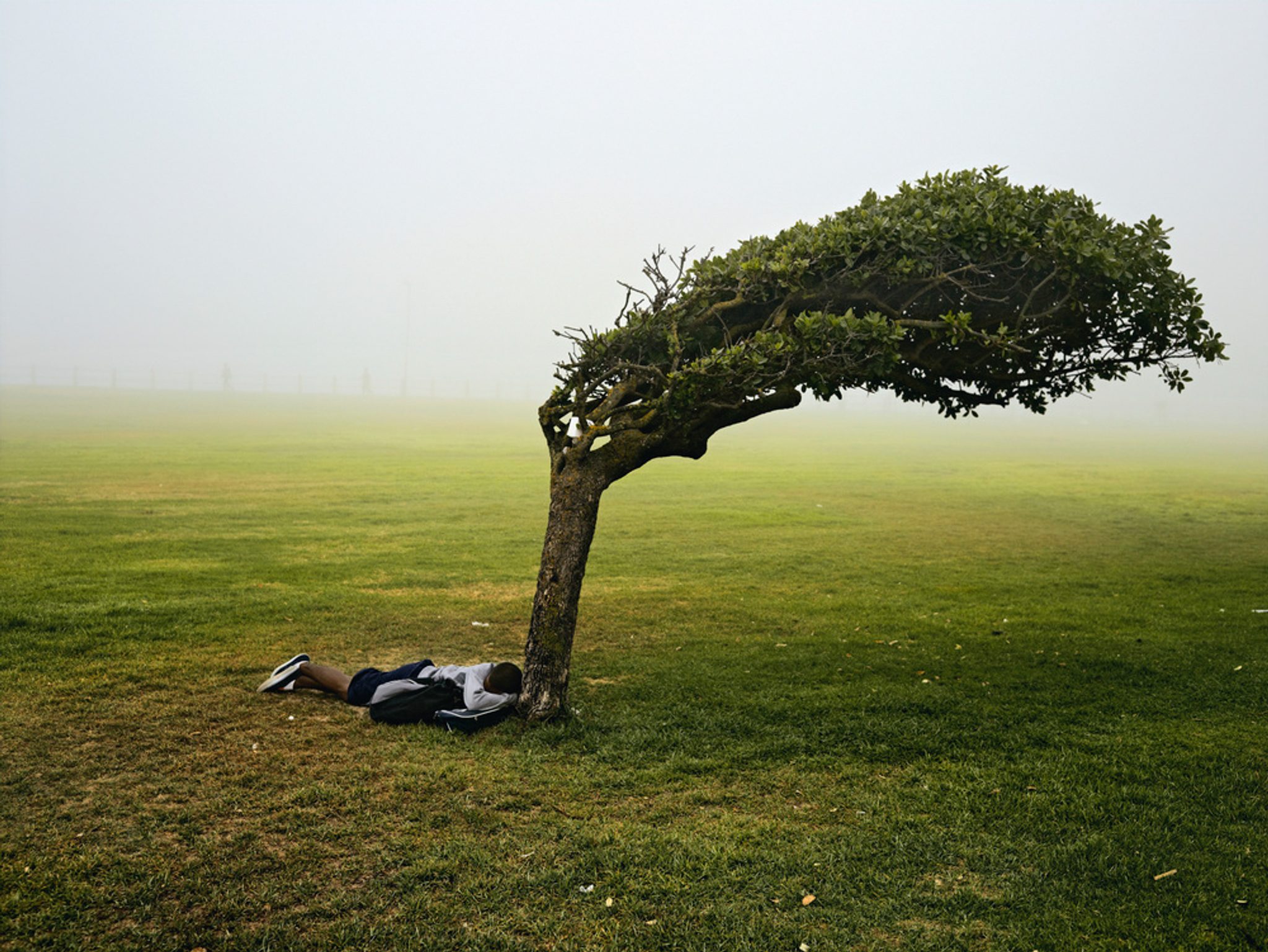 Green Point Common, Le Cap