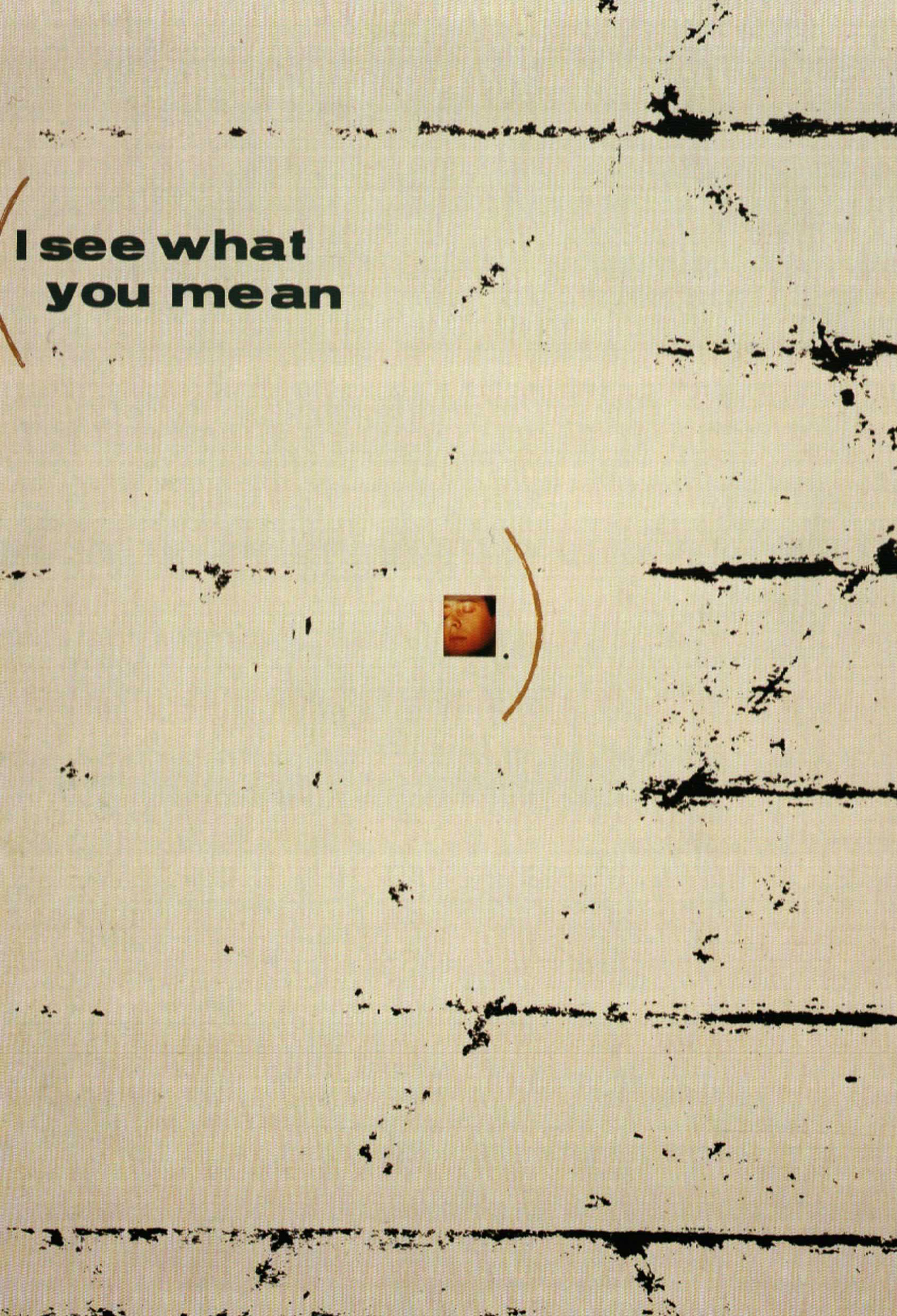 I See What You Mean