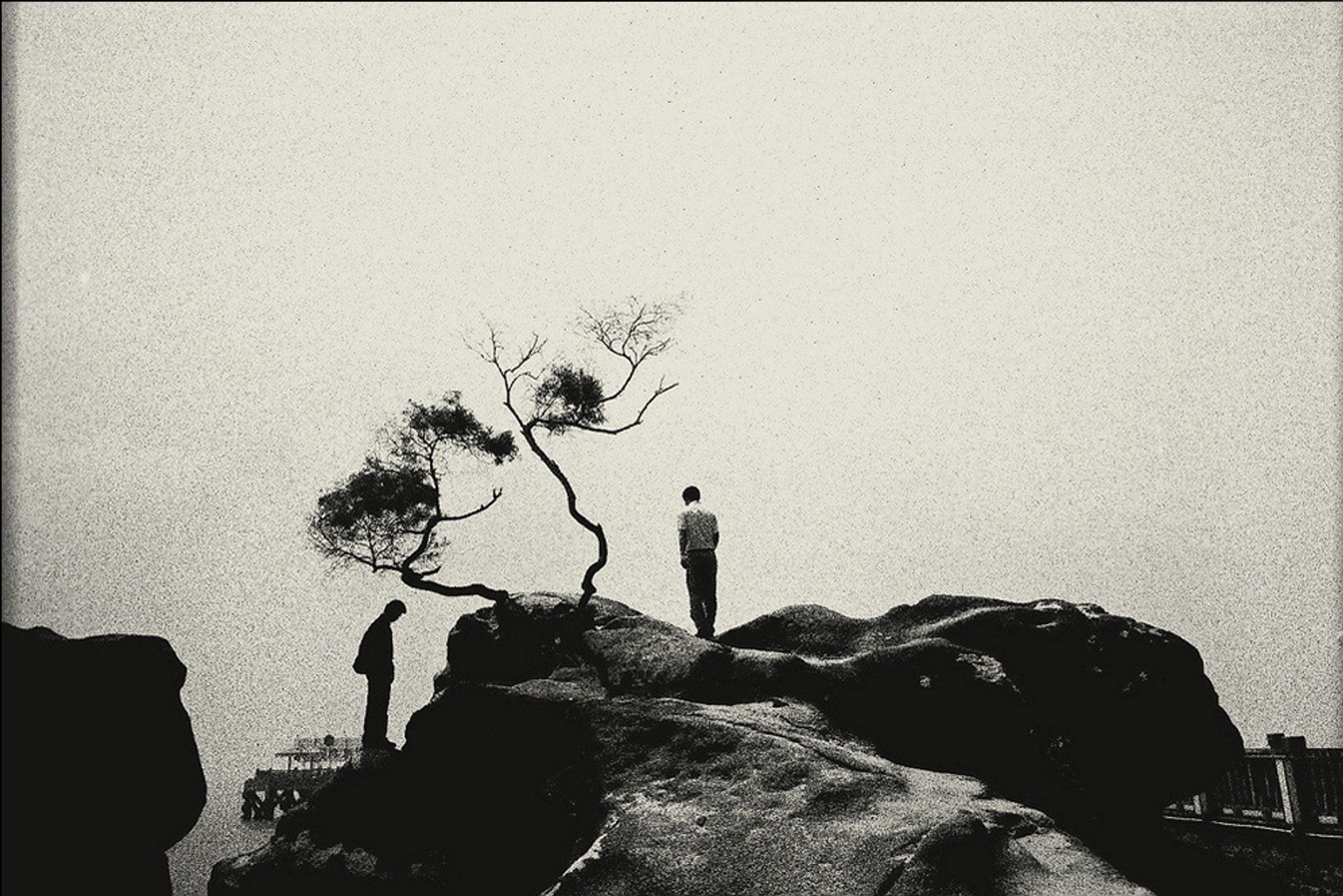 Pure of Sight (001)