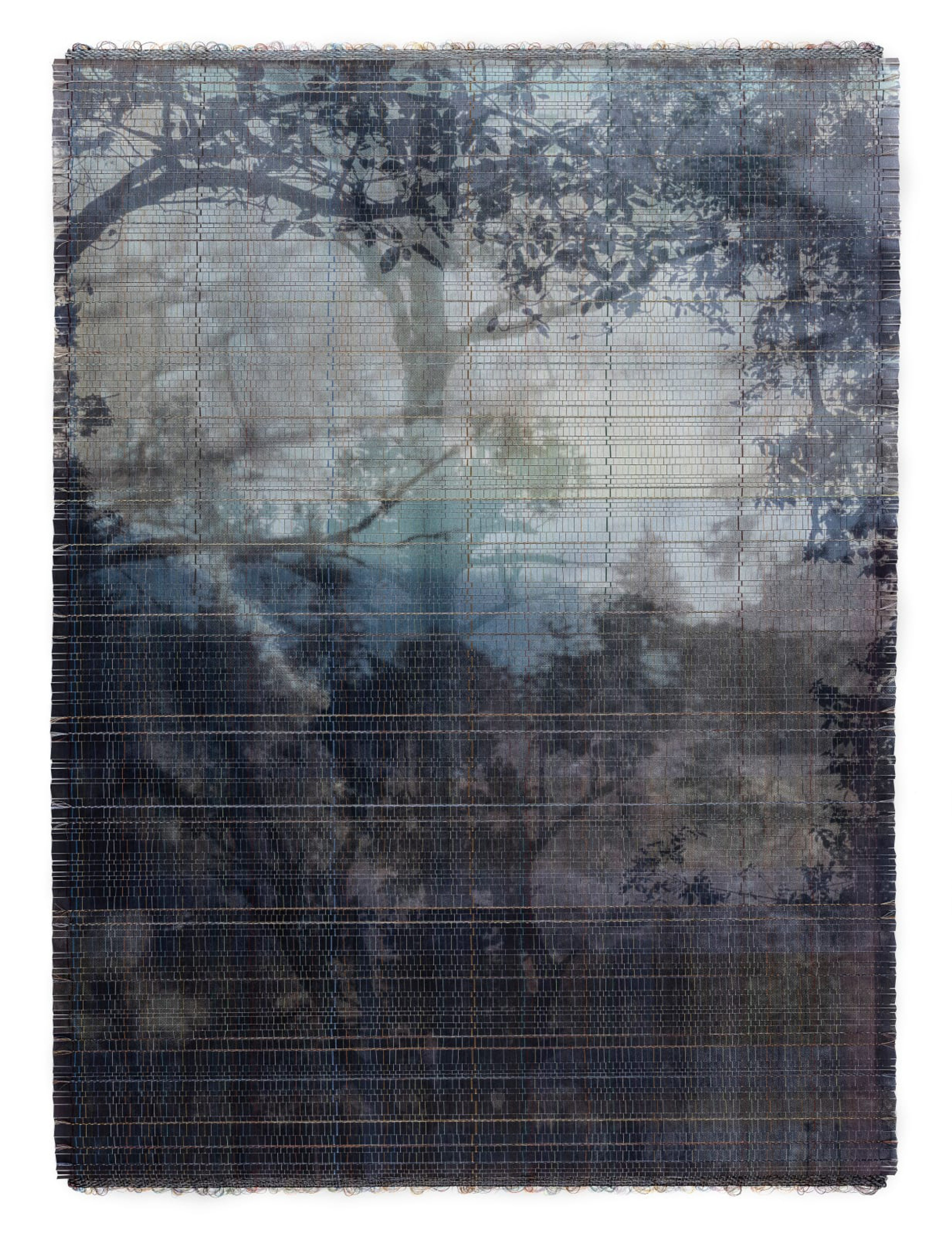 Trees in a Merged Landscape