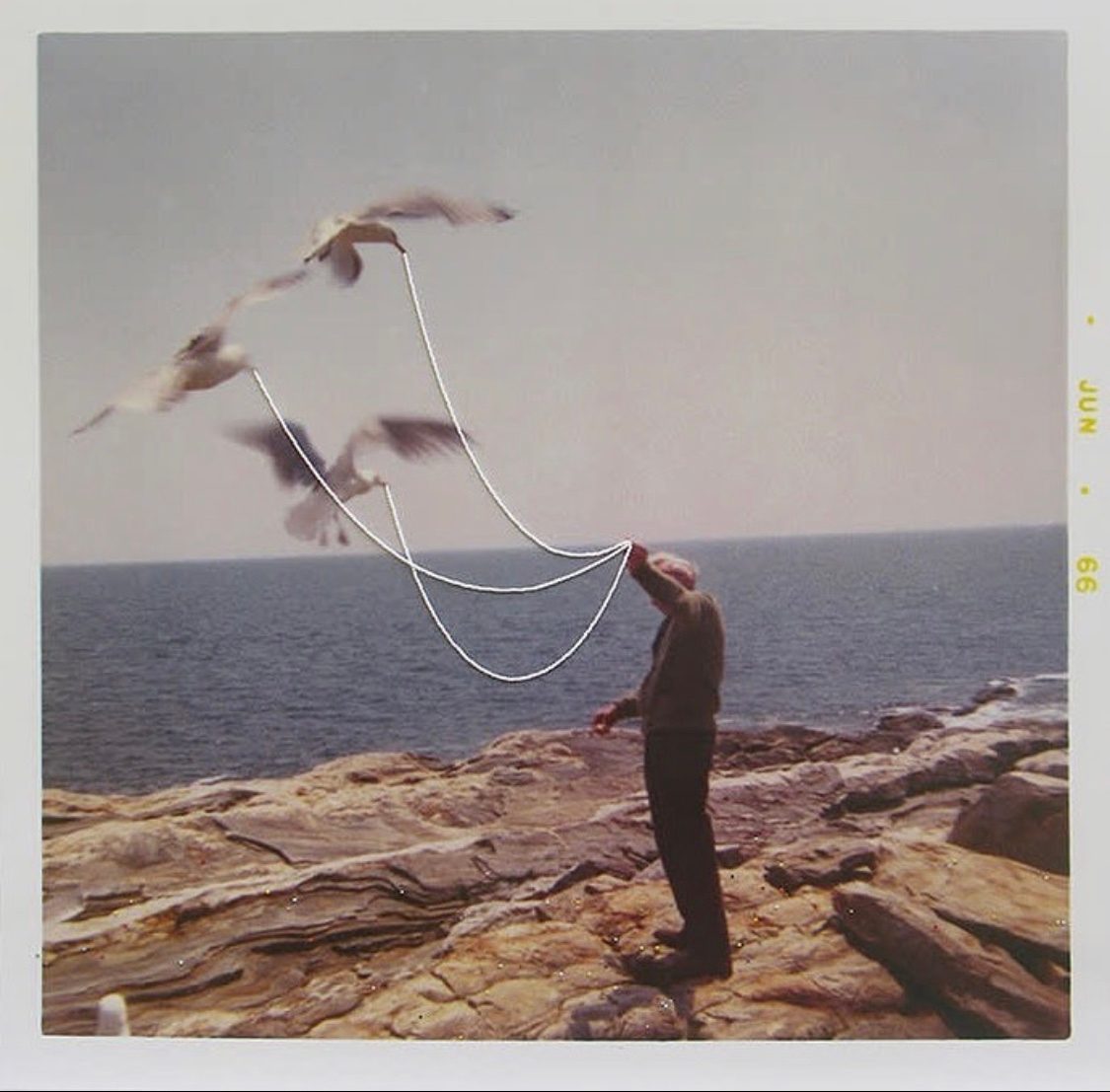 Feed the Birds (Man)