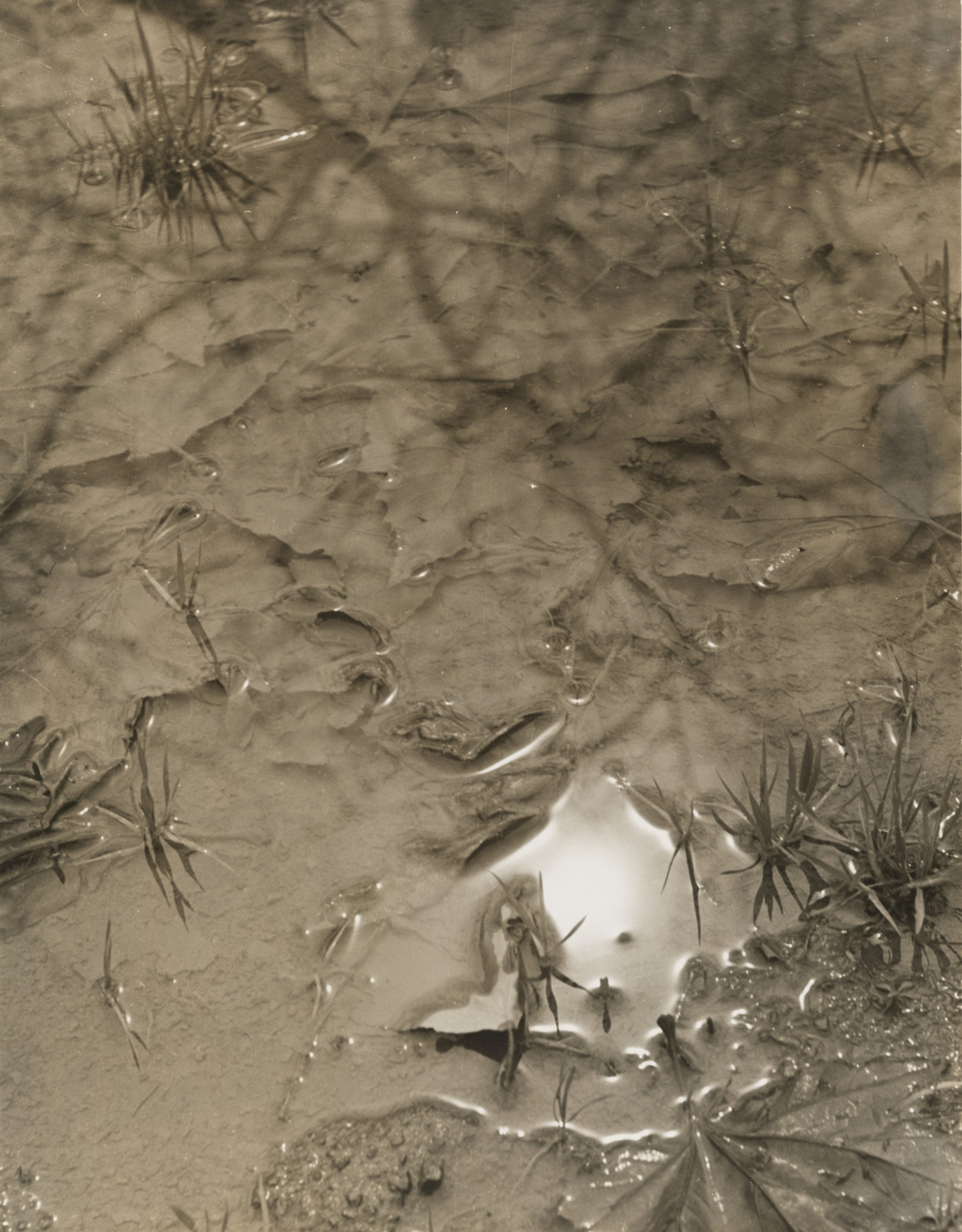 Puddle