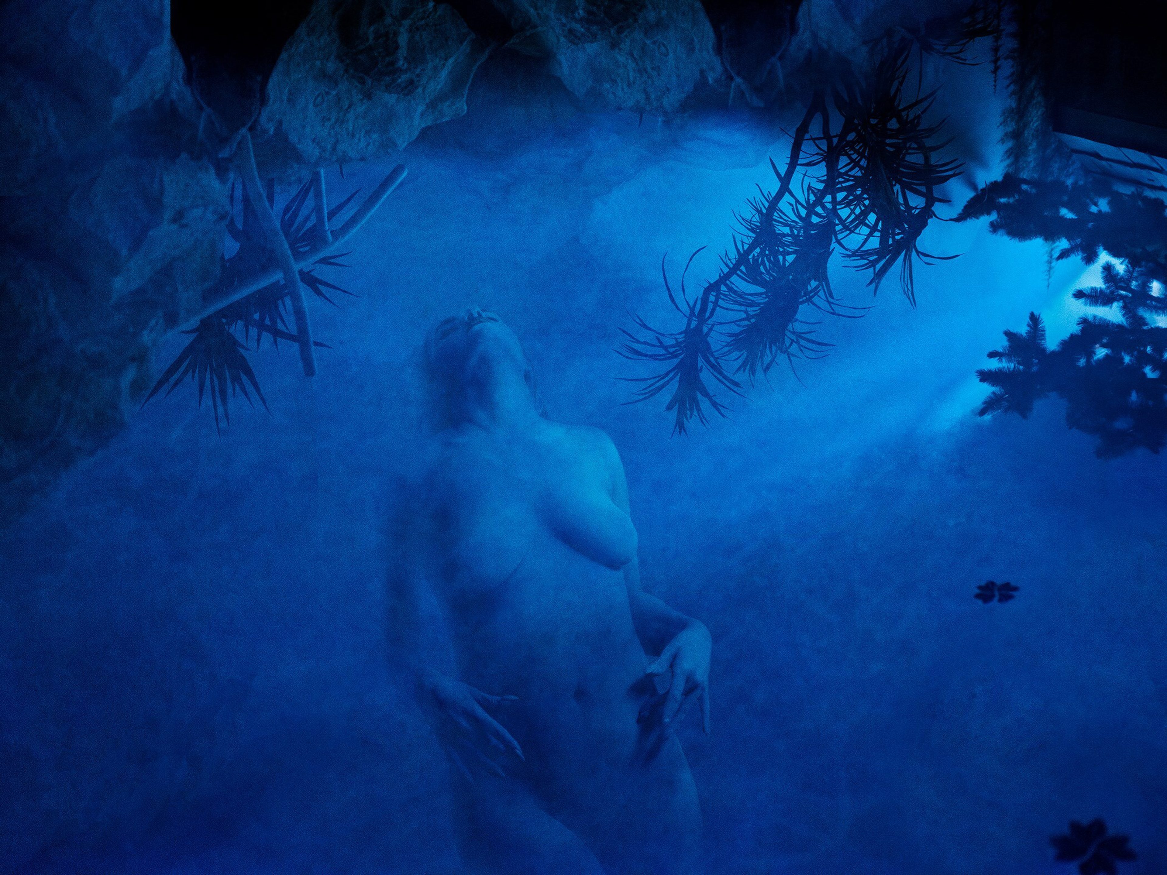 Immortal Bodies (What To Do With a Million Years)	