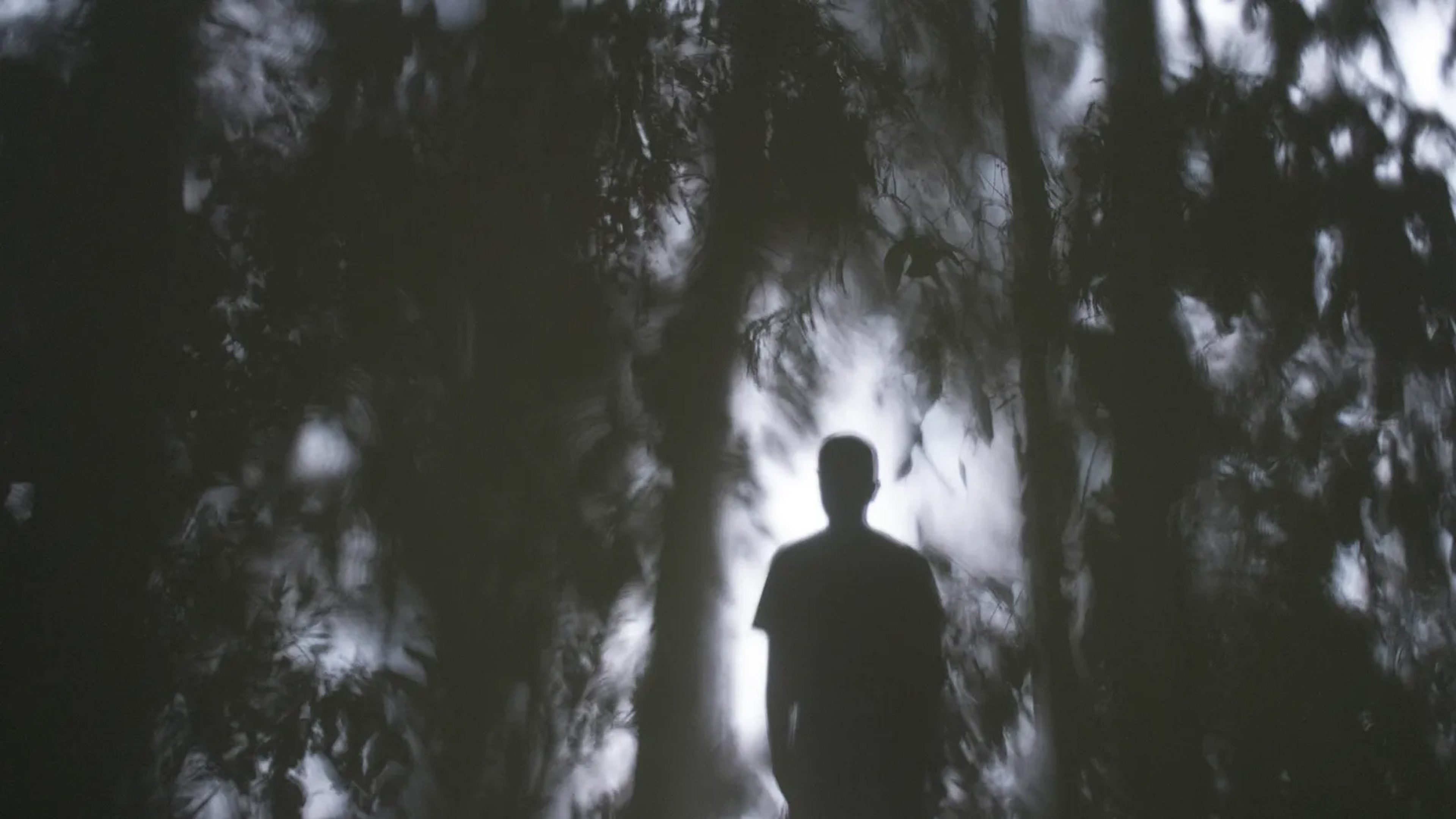 Self-Protraite (Shadows)